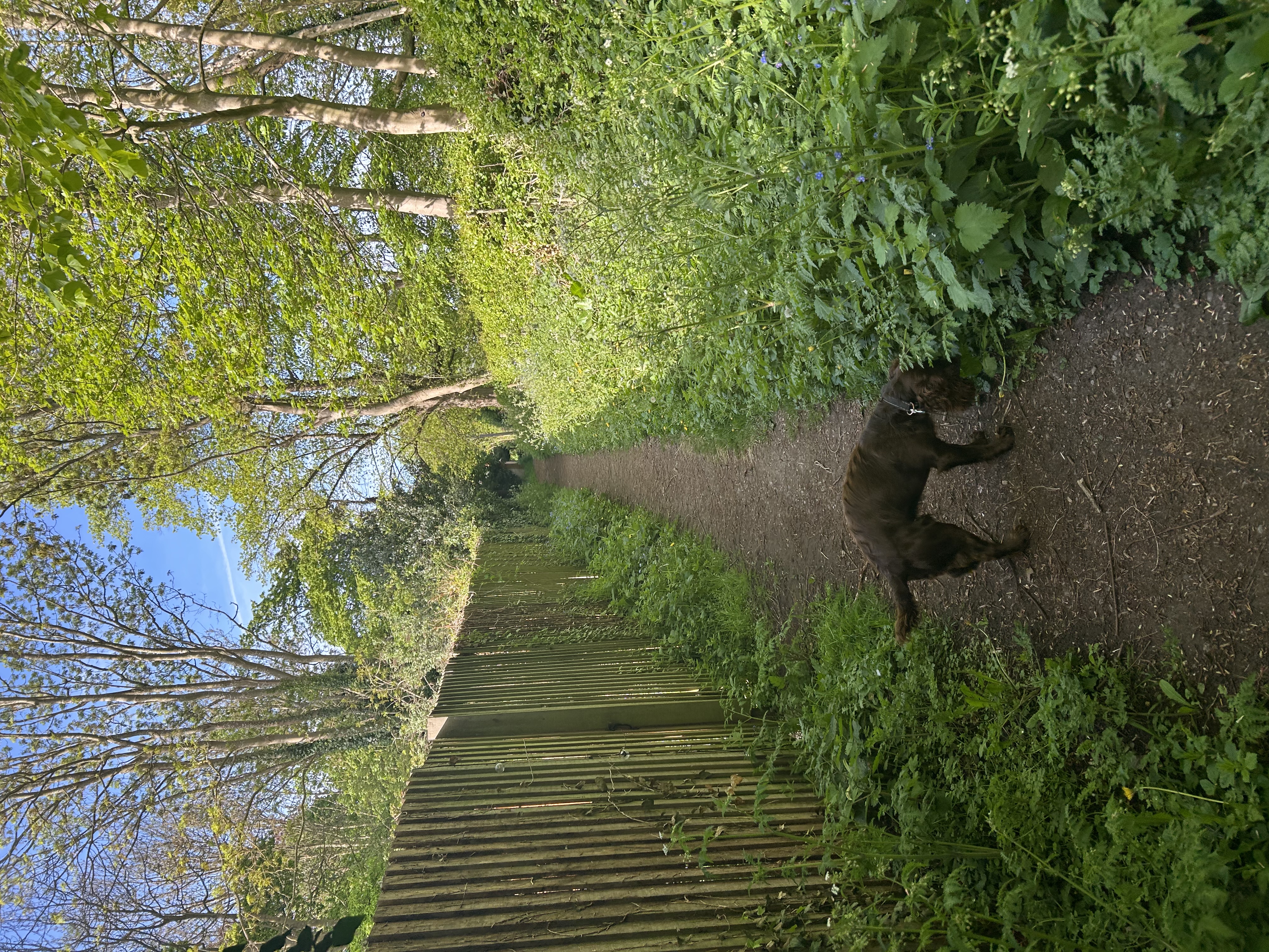 image-14