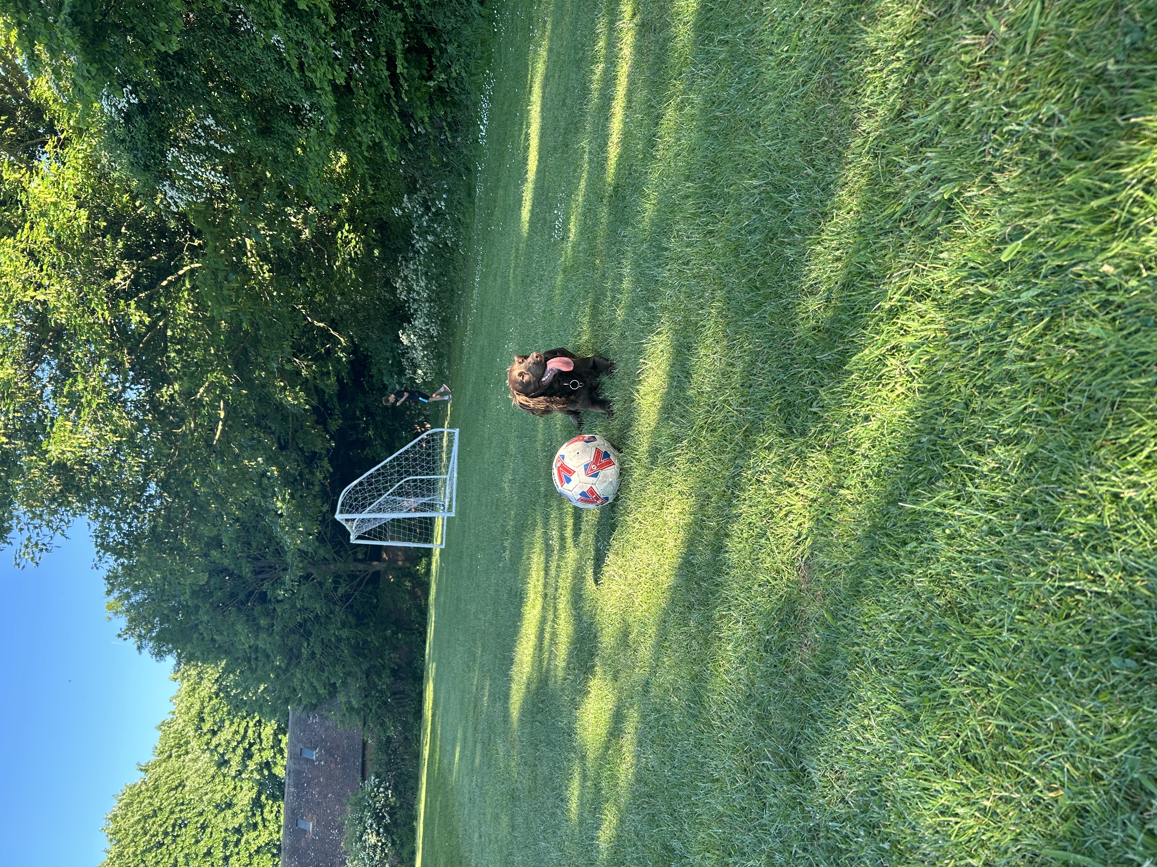 image-16
