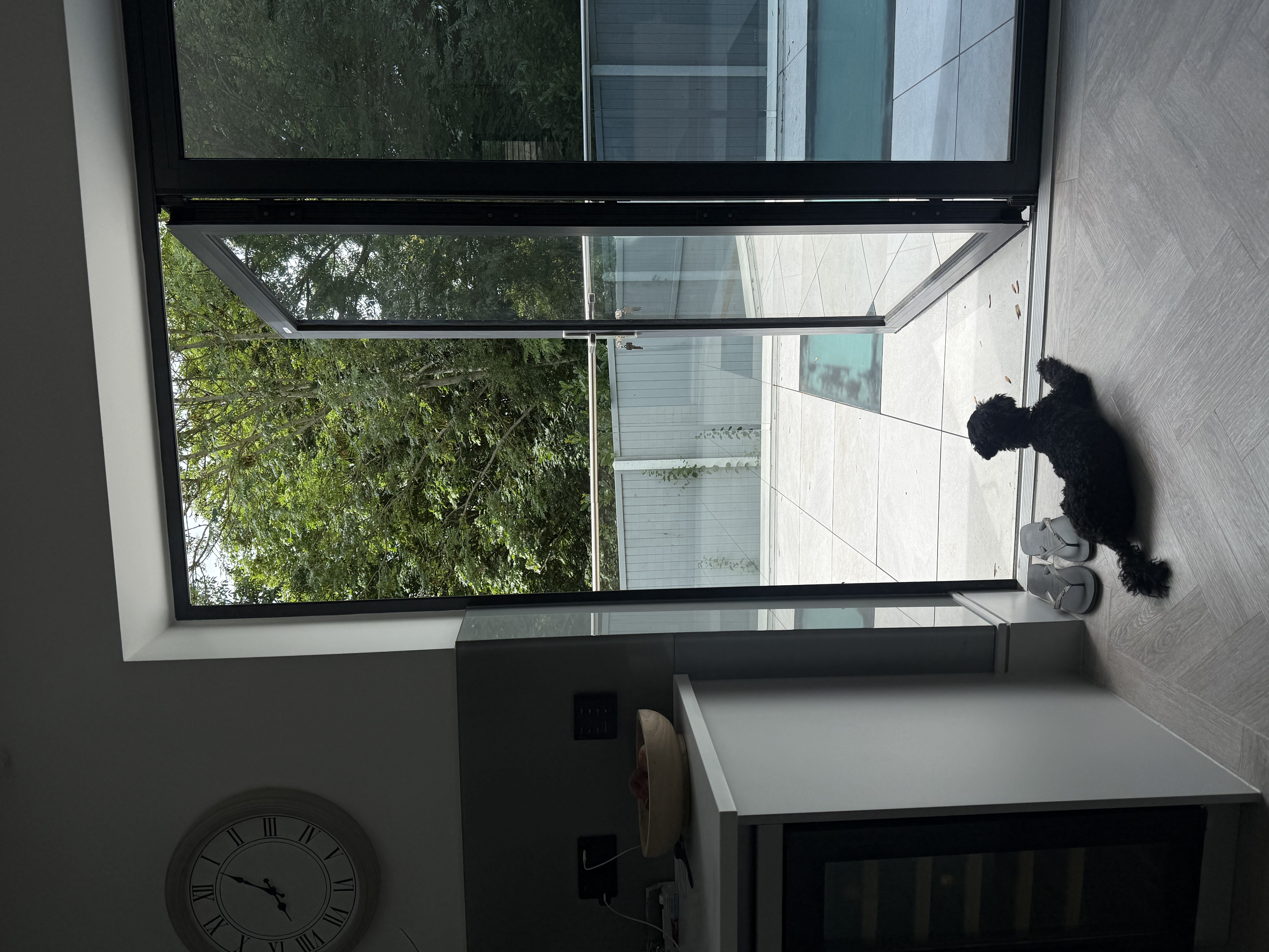 image-18