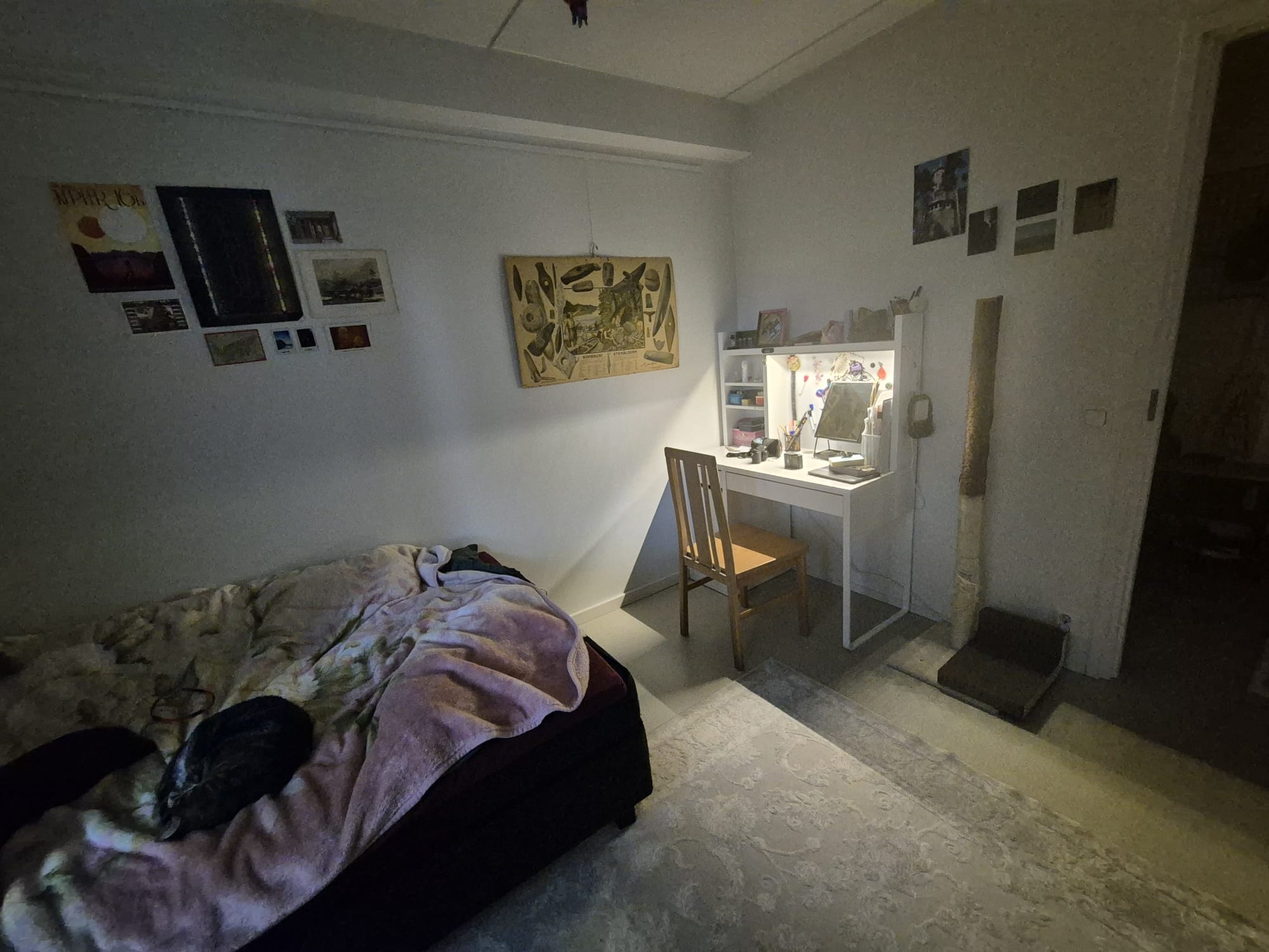 image-7