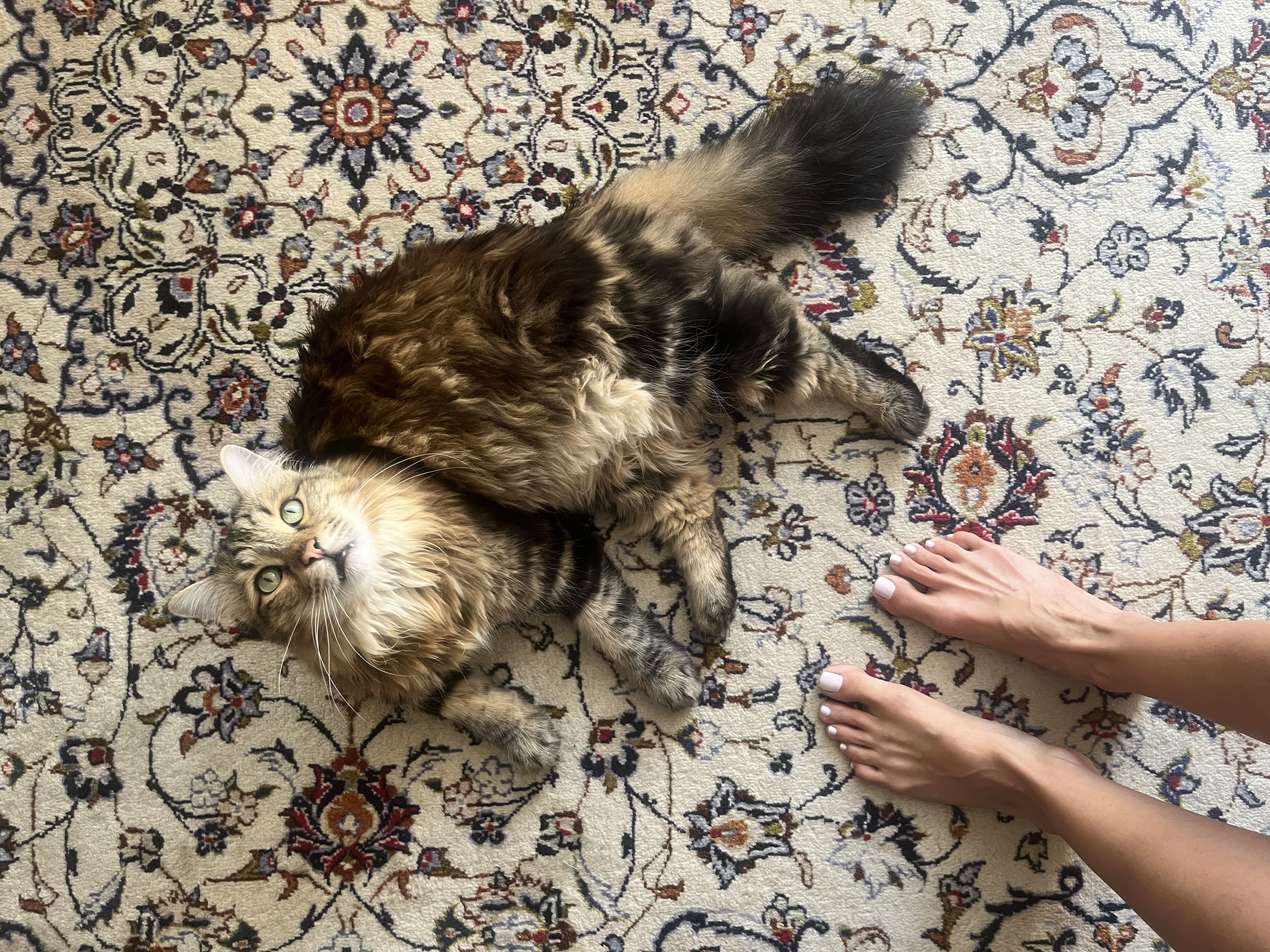 image-7