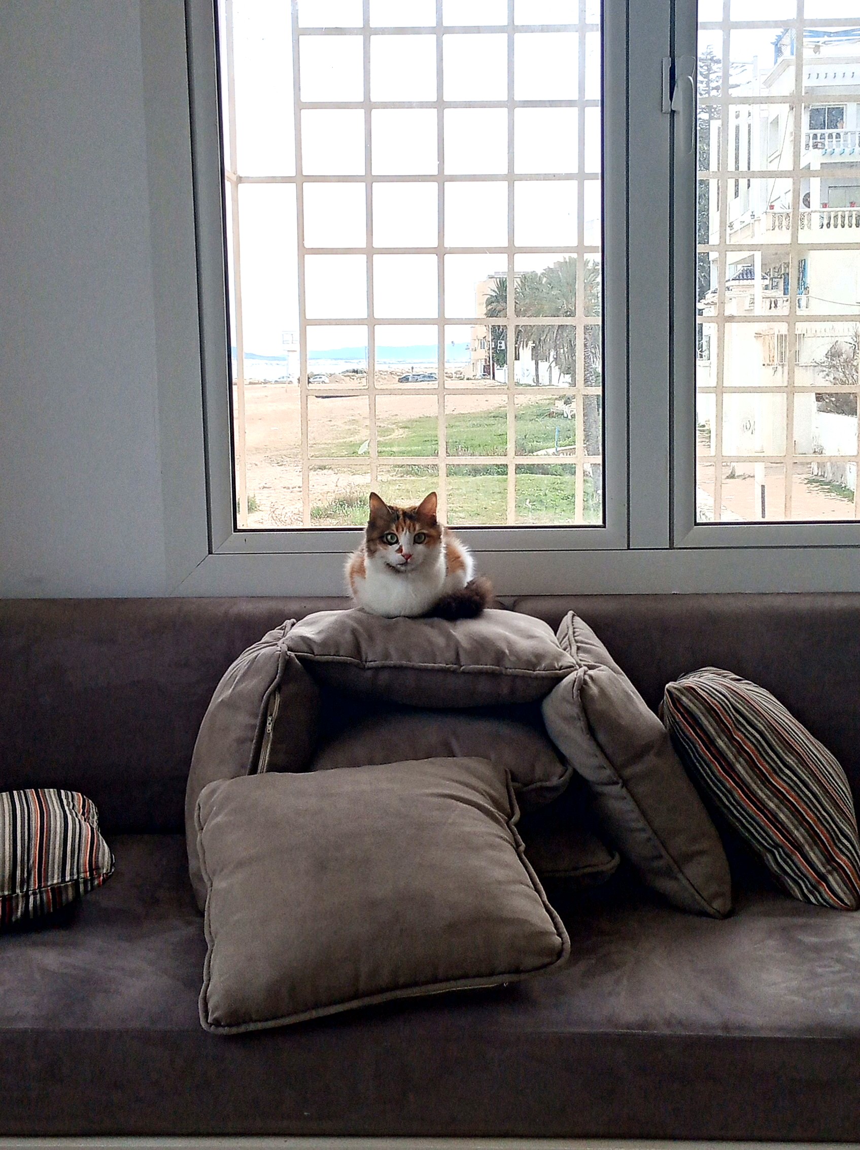 image-7