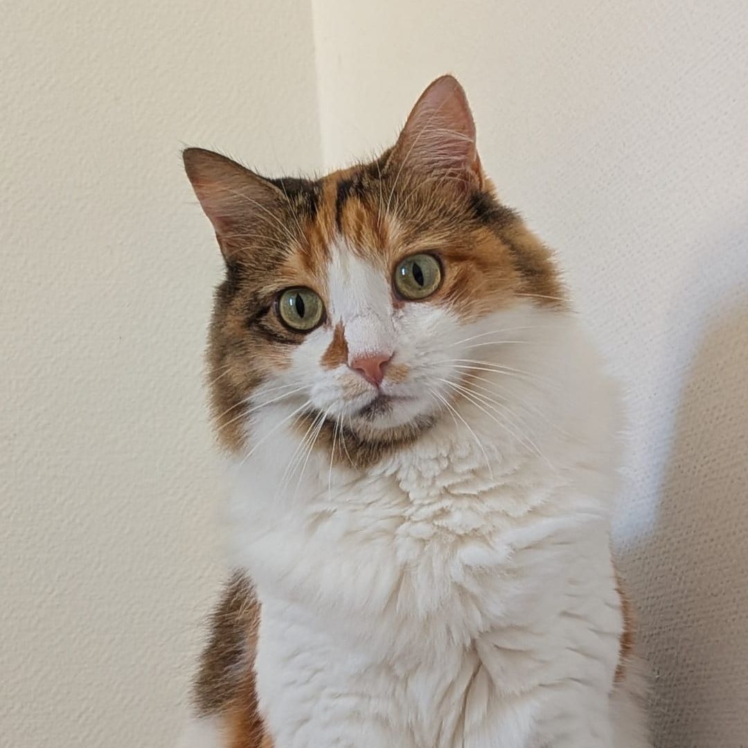 Jrayna aka nounou