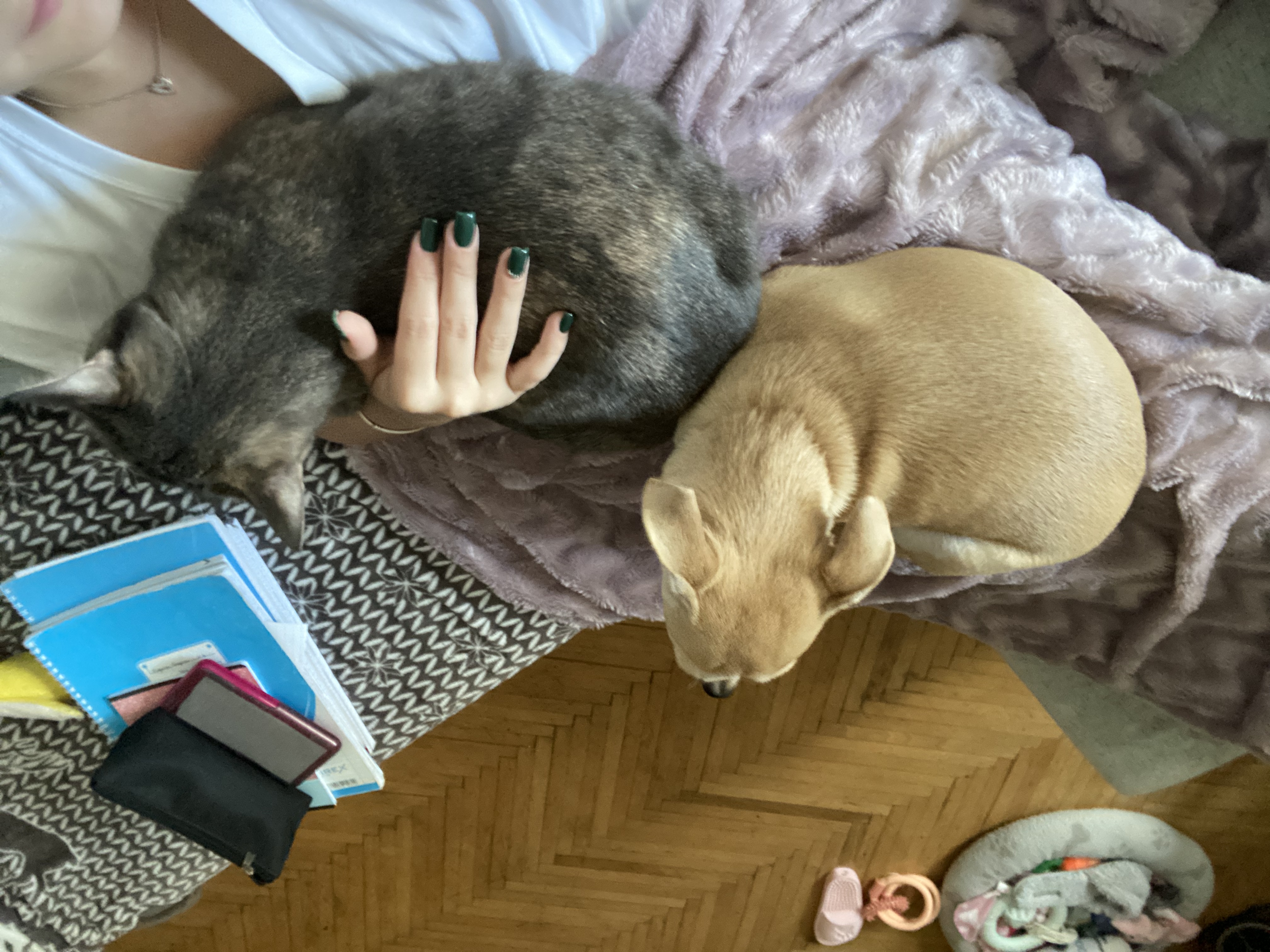 image-7