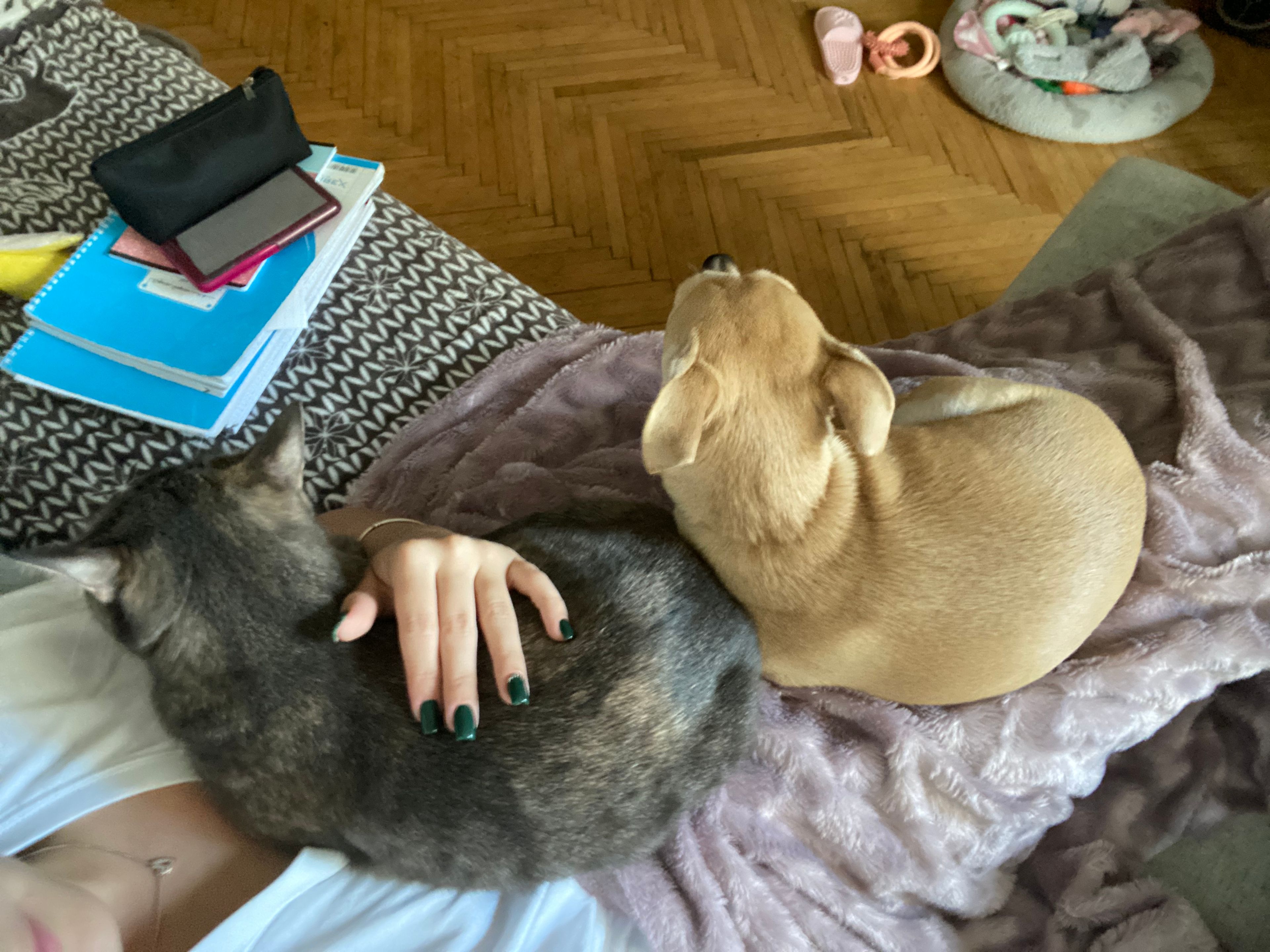 image-7