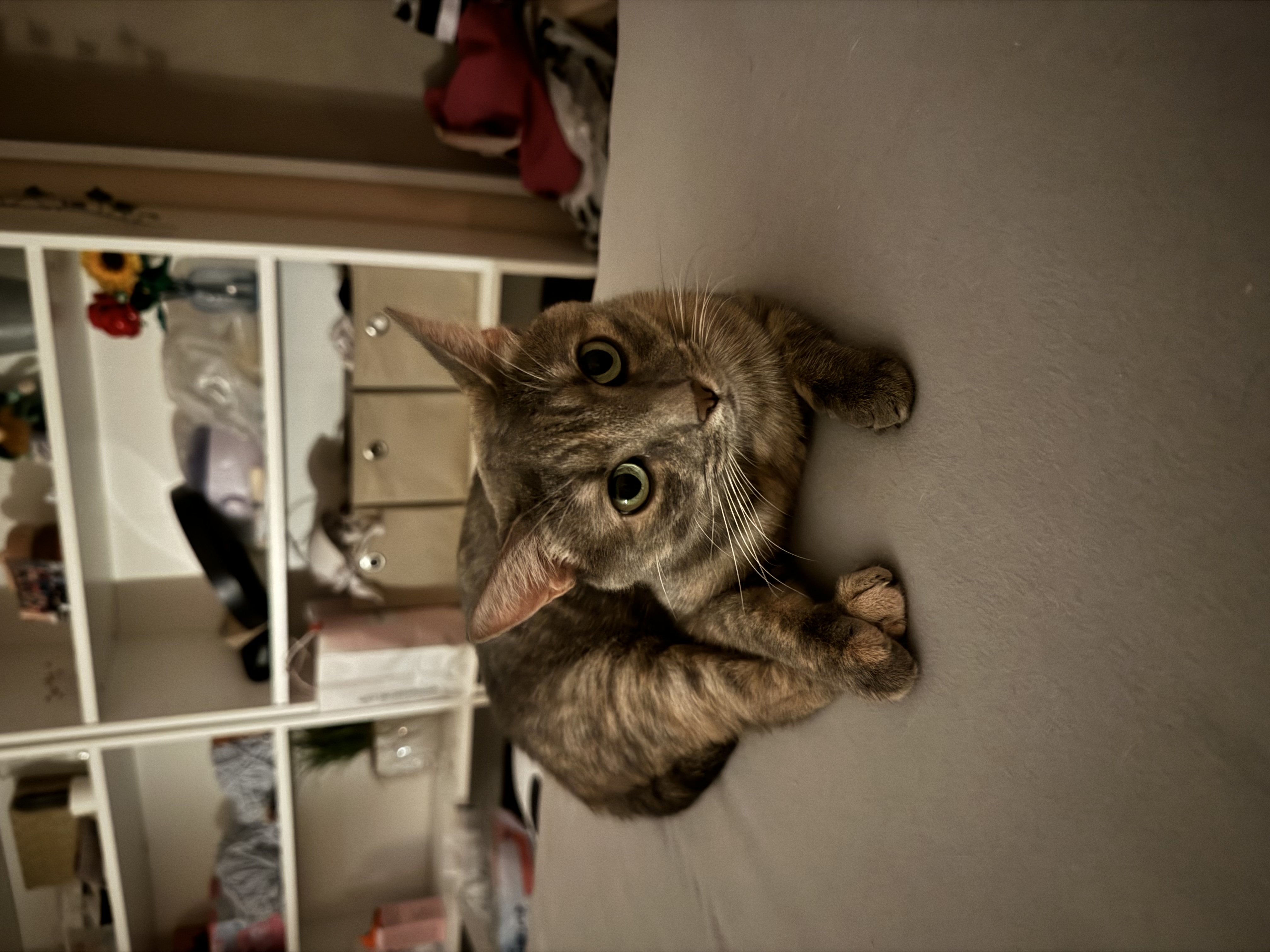 image-8
