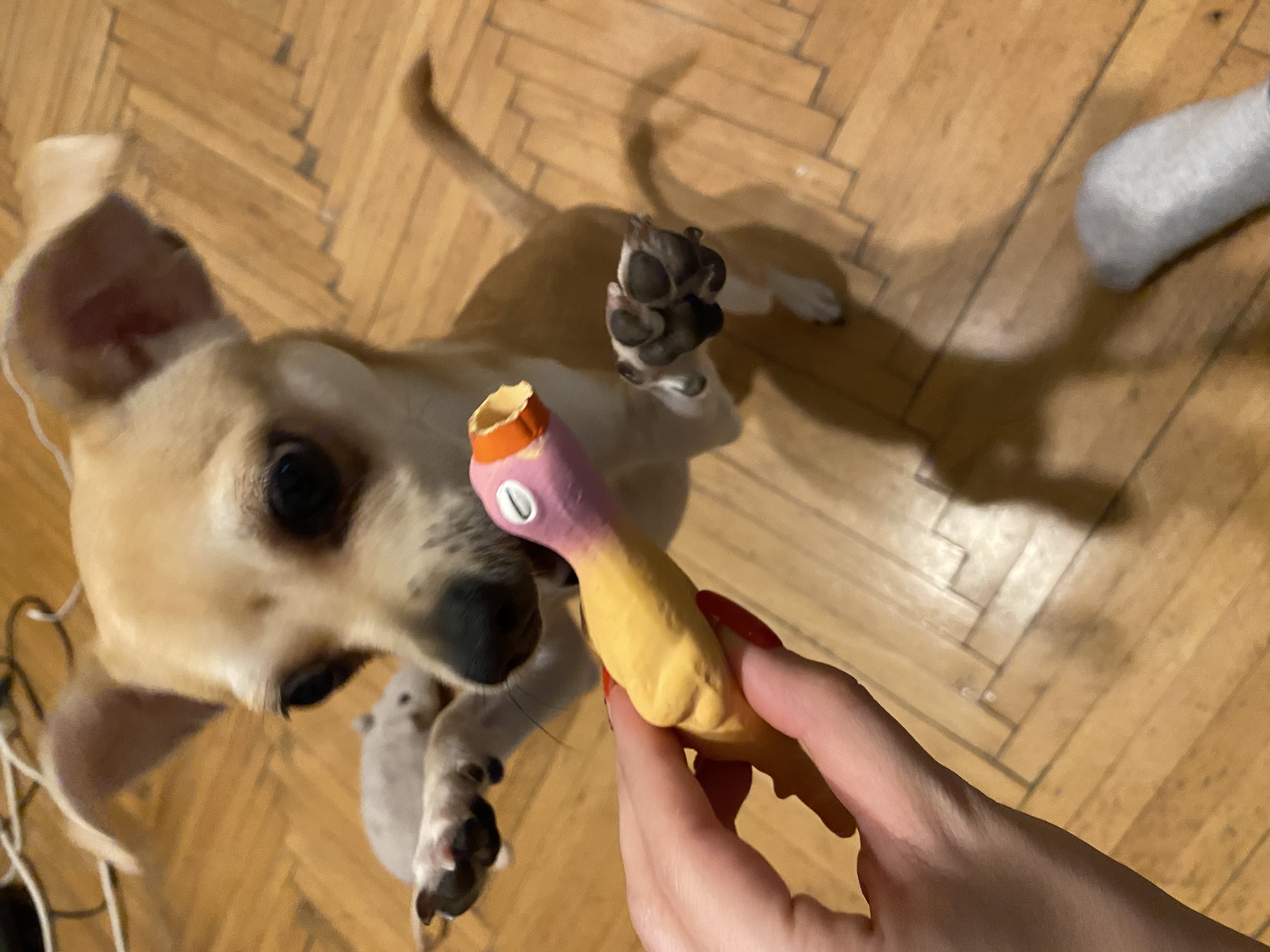 image-16