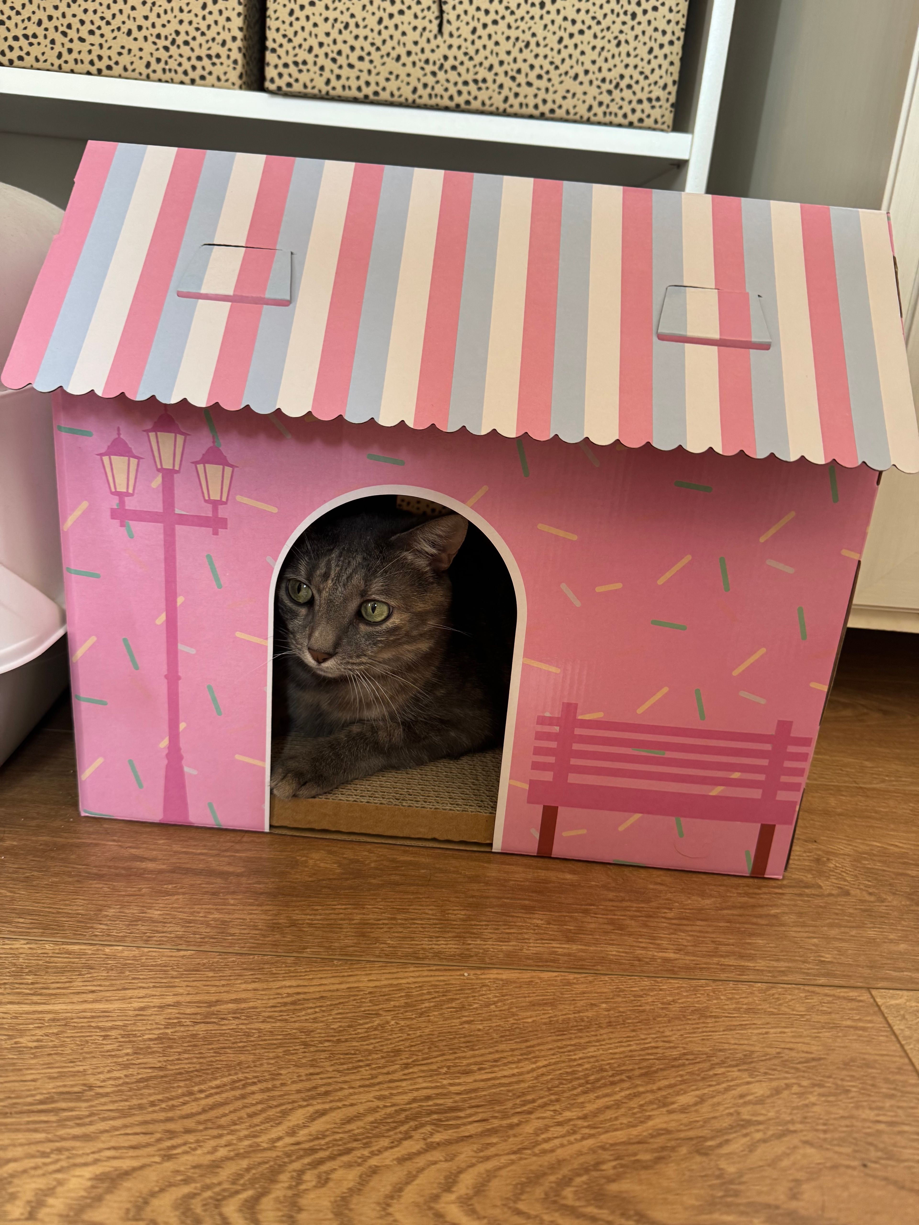 image-6