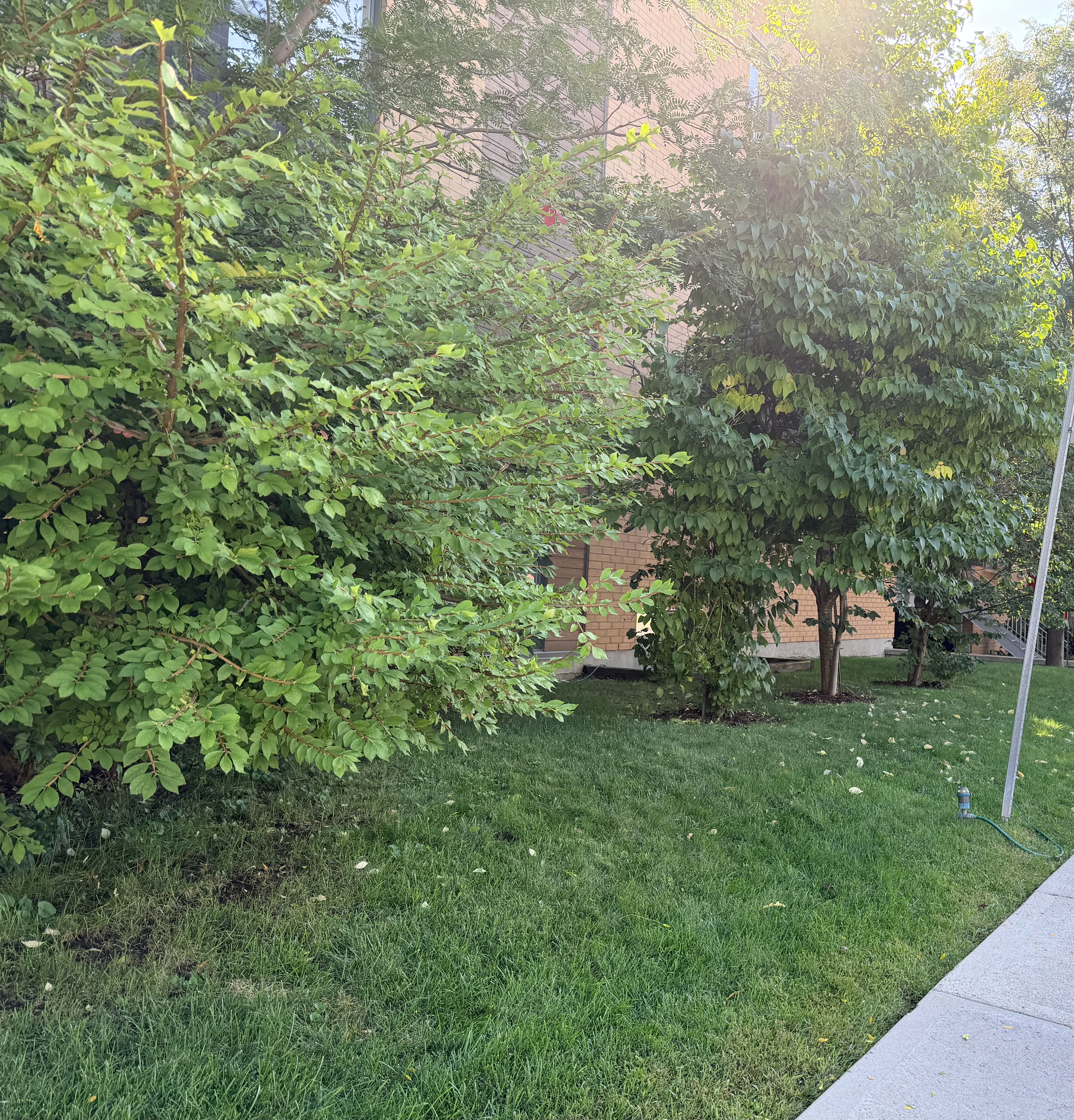 image-23