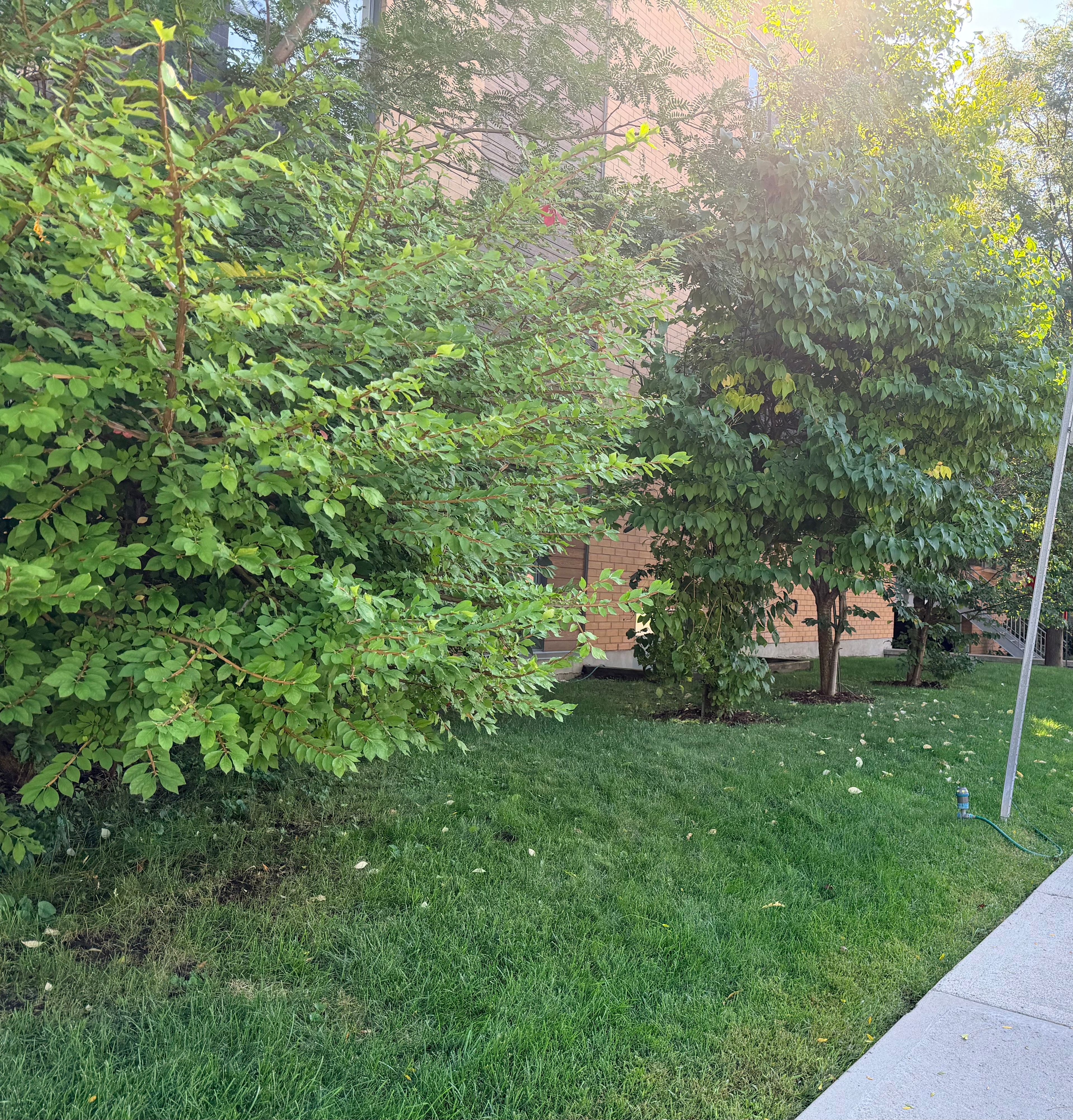 image-23