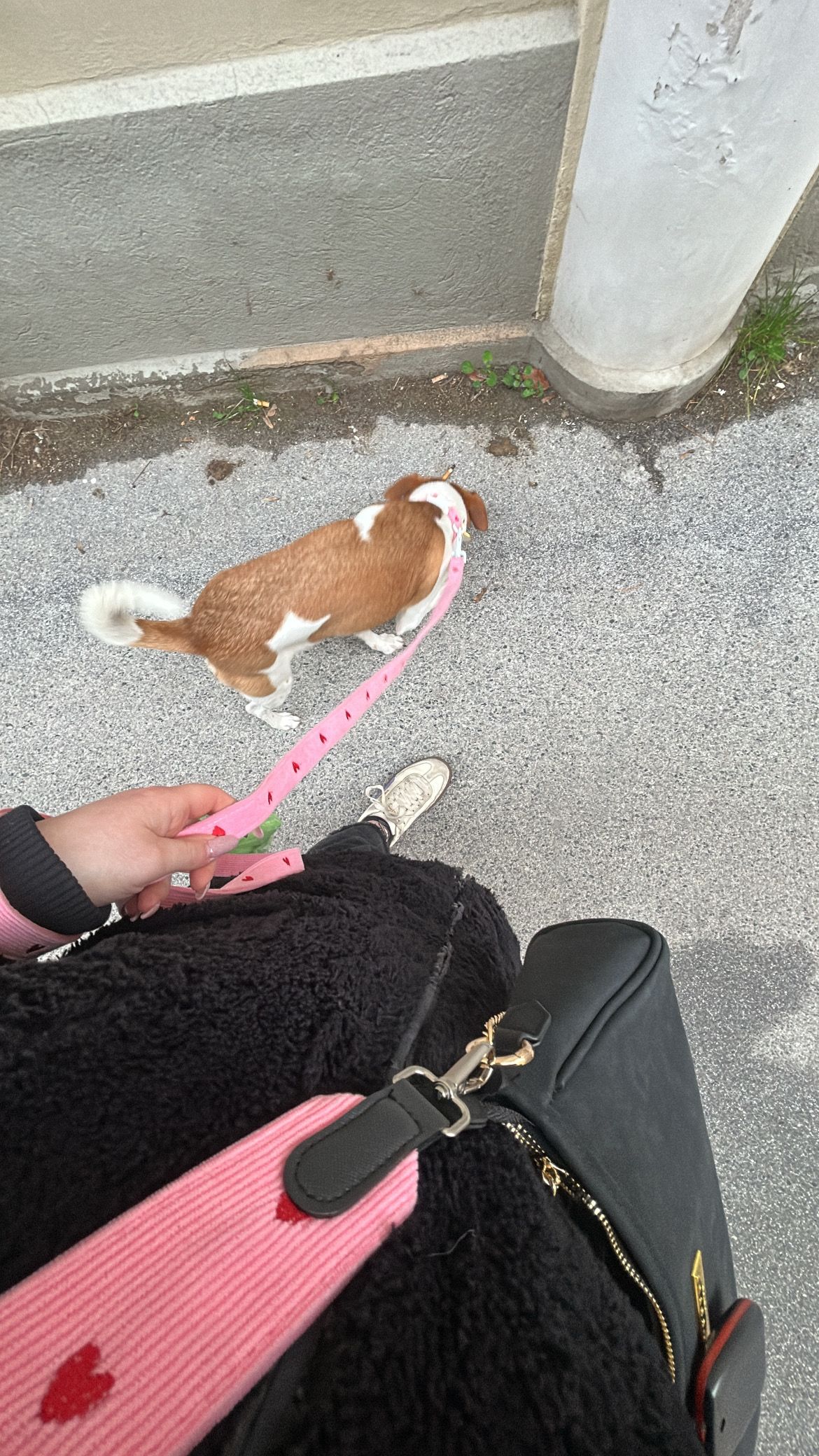 image-16