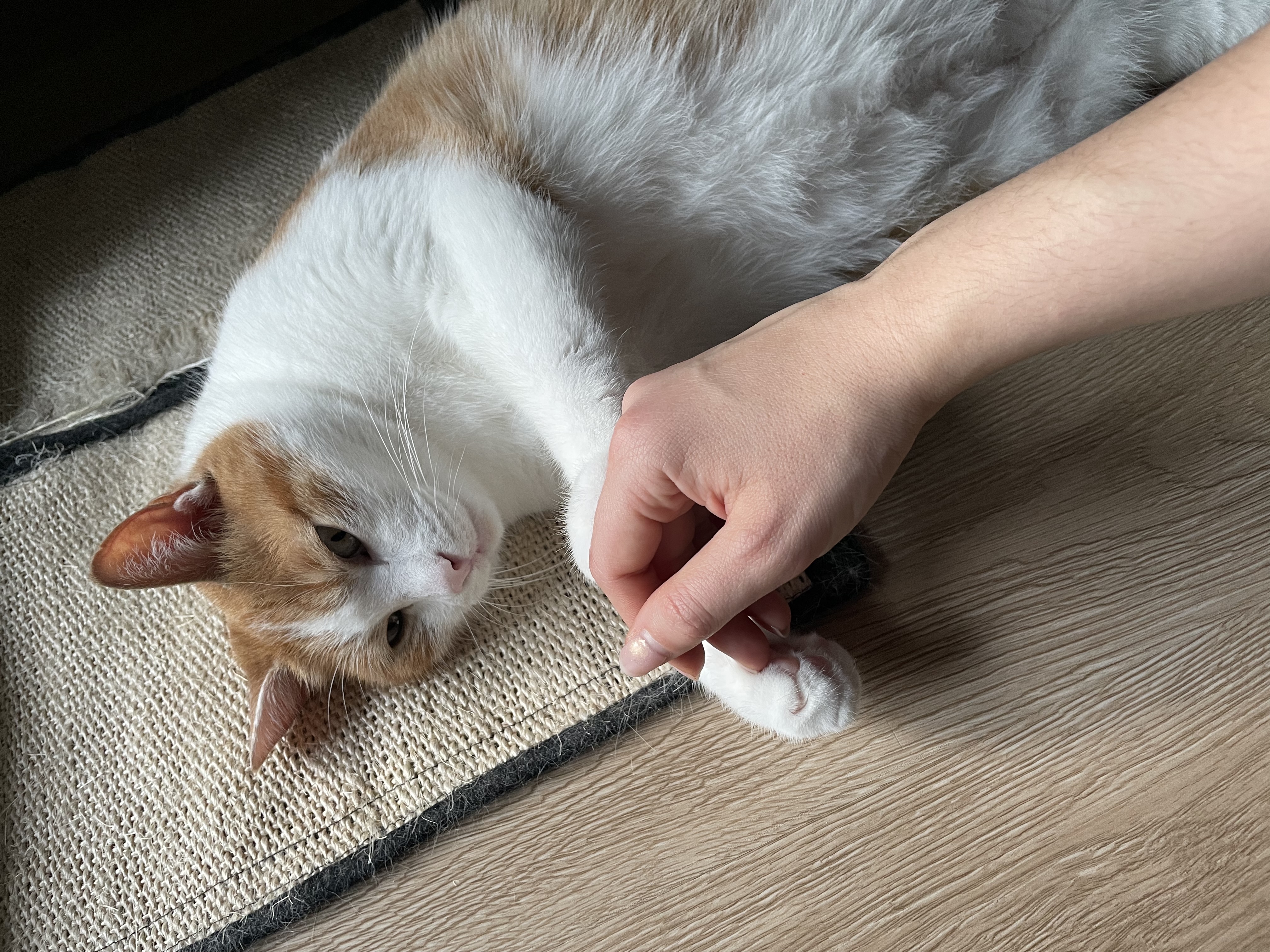 image-15