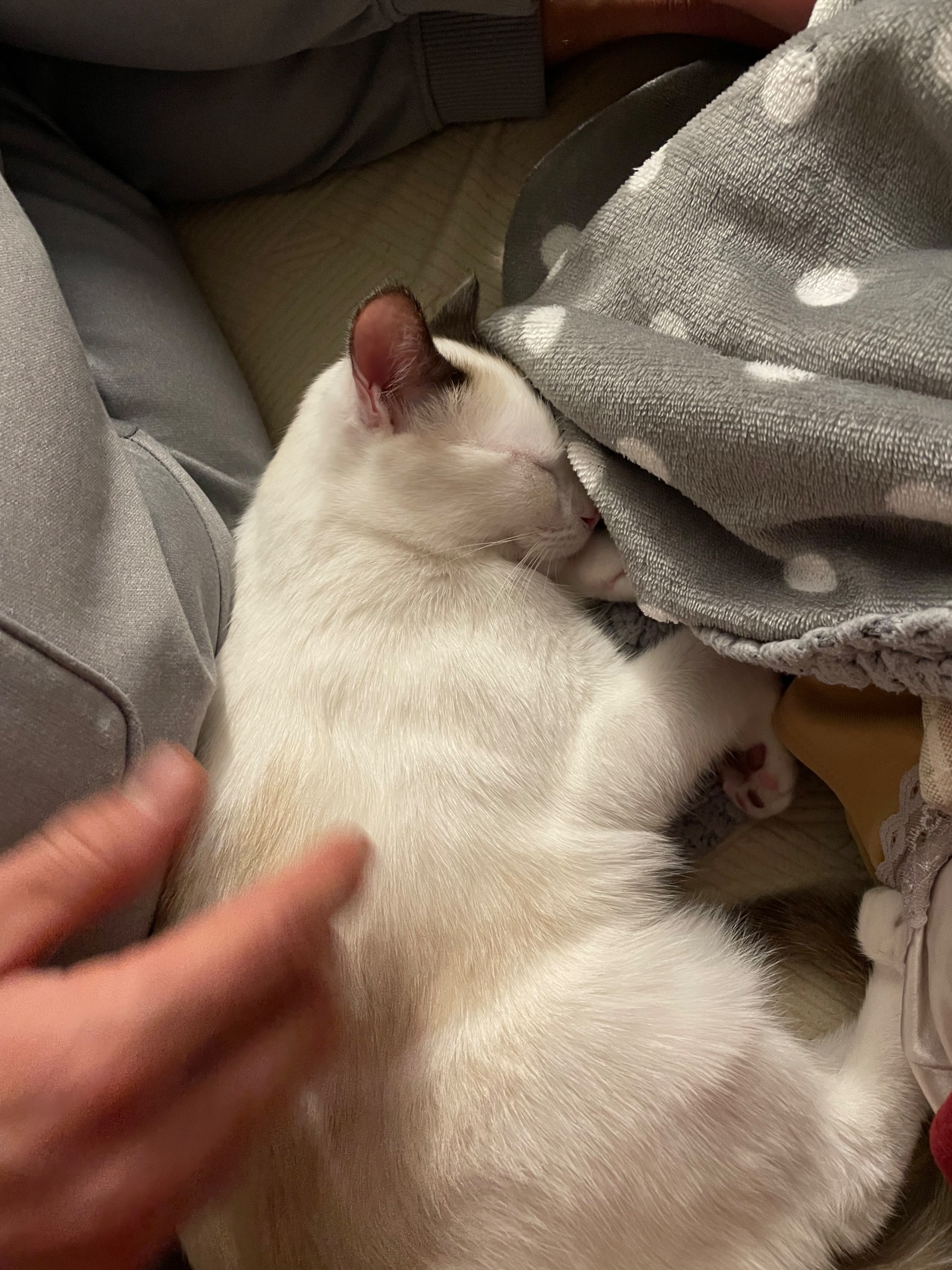 image-9