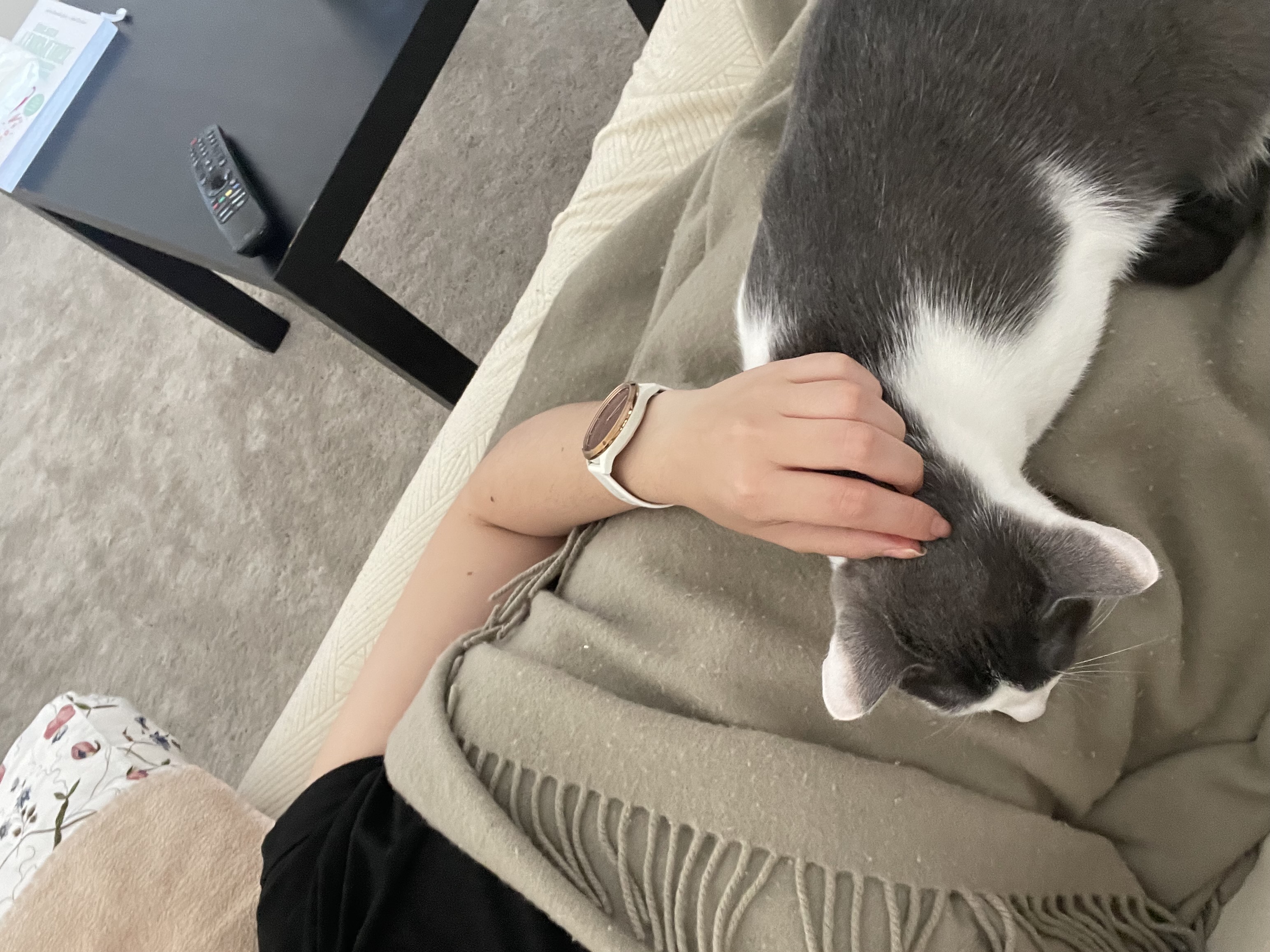 image-11
