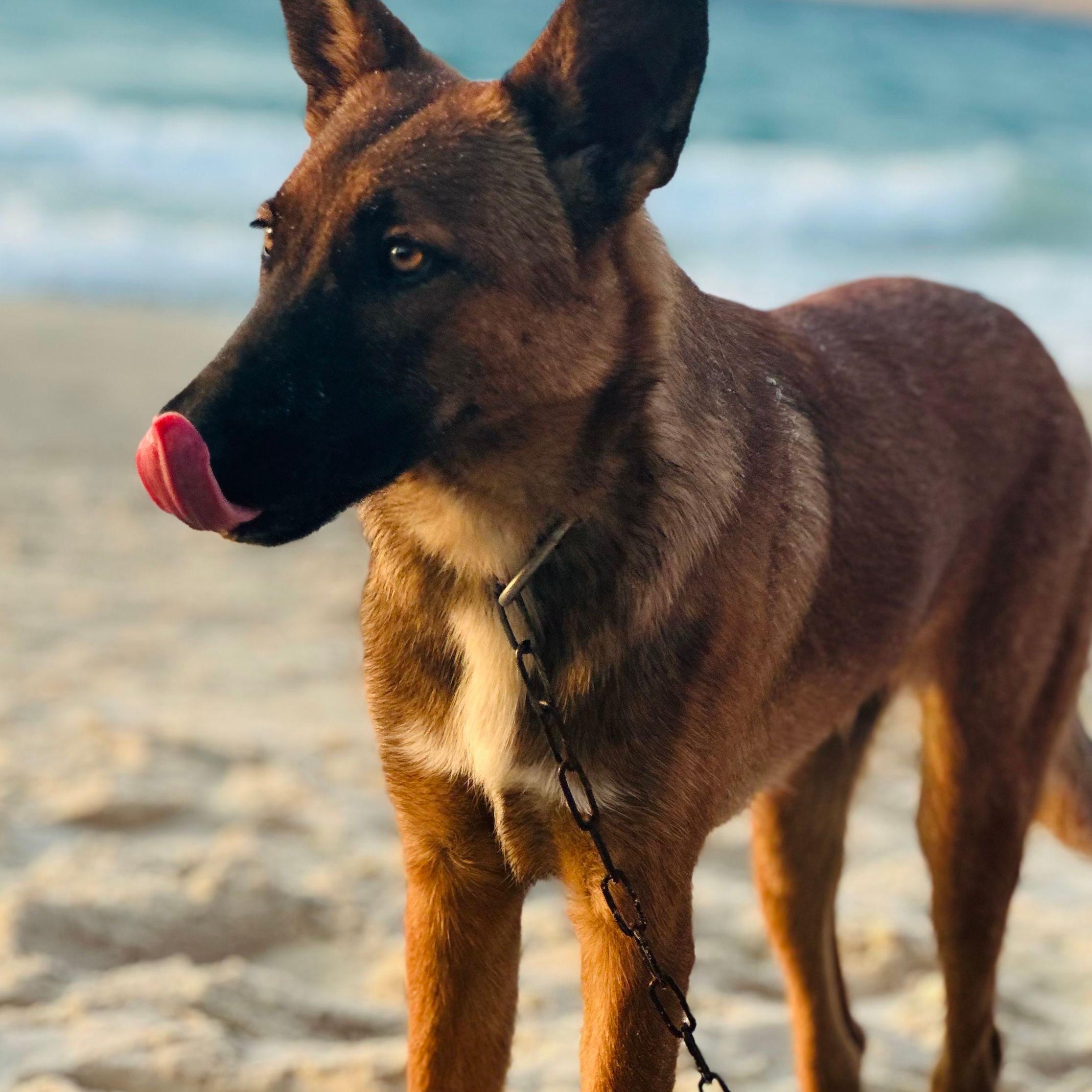 Perla
