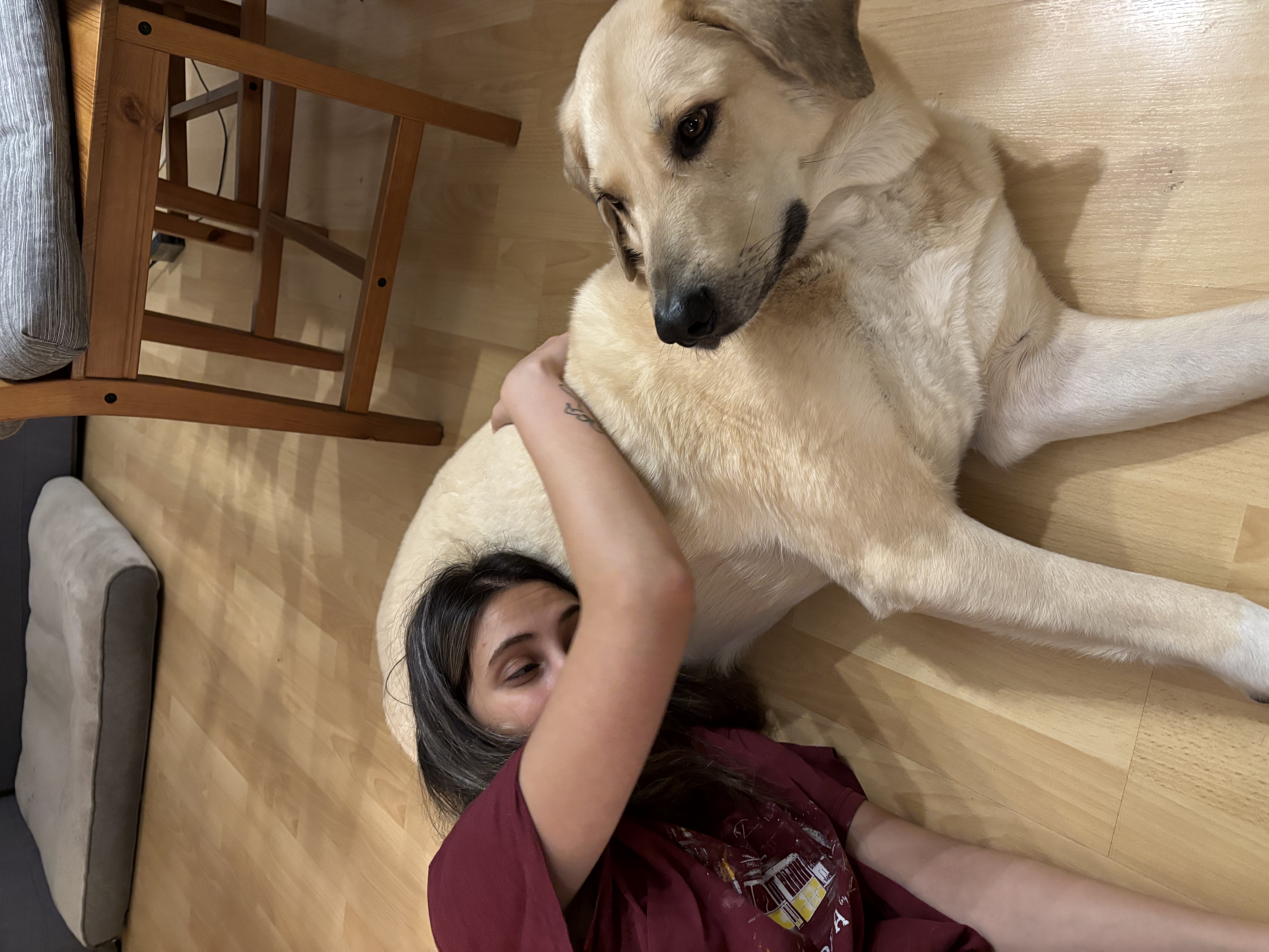image-5