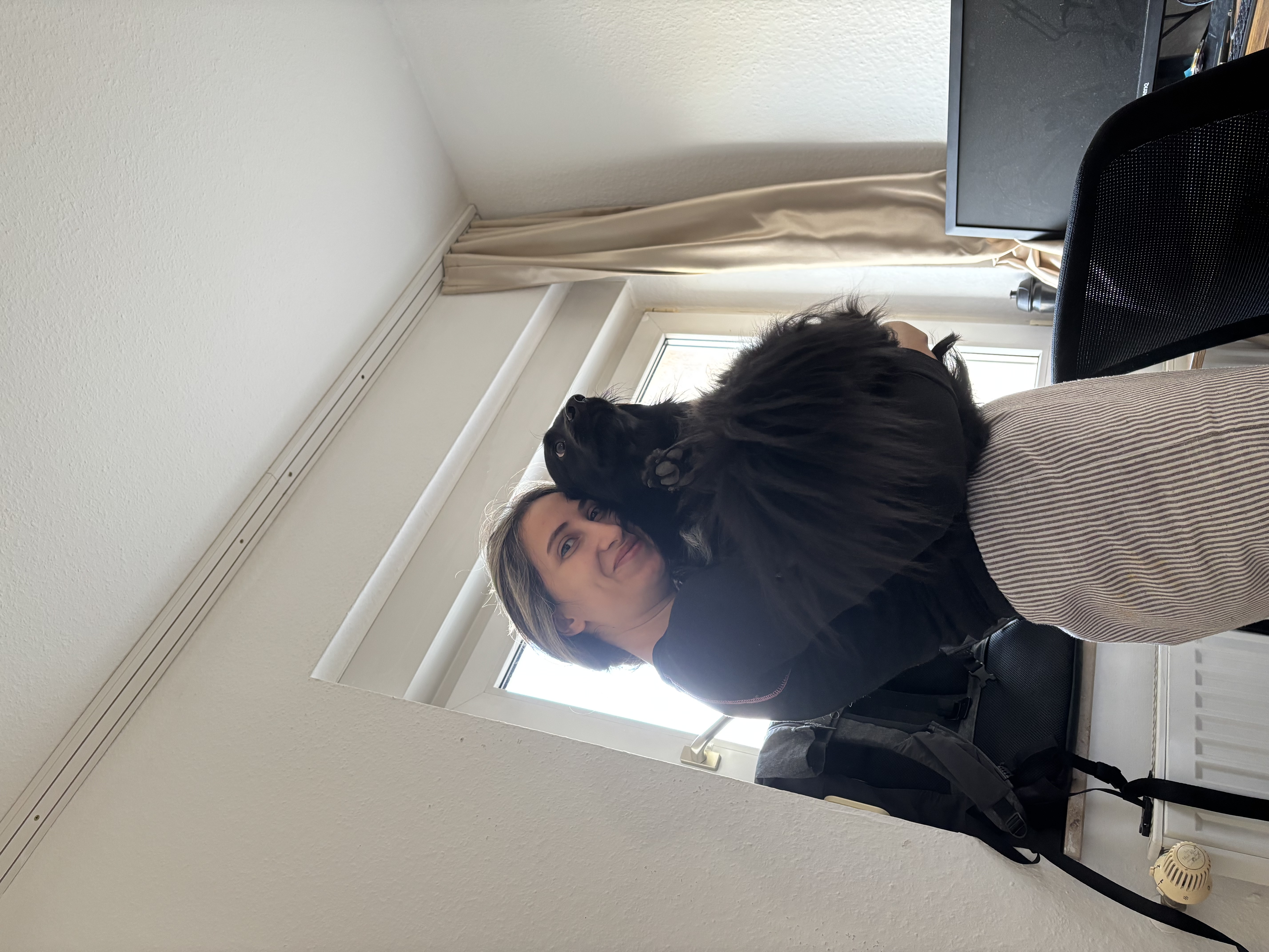 image-11