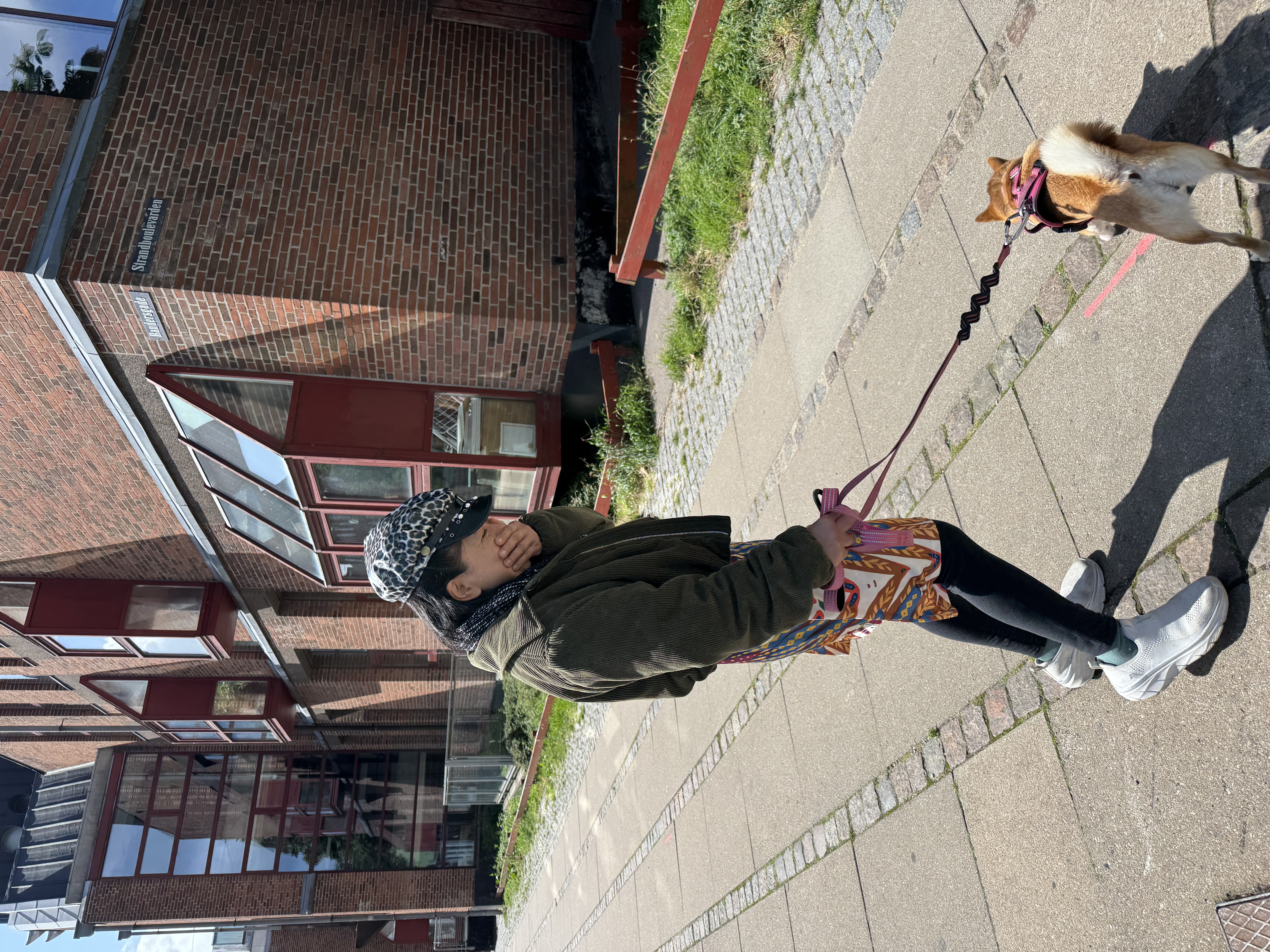 image-7