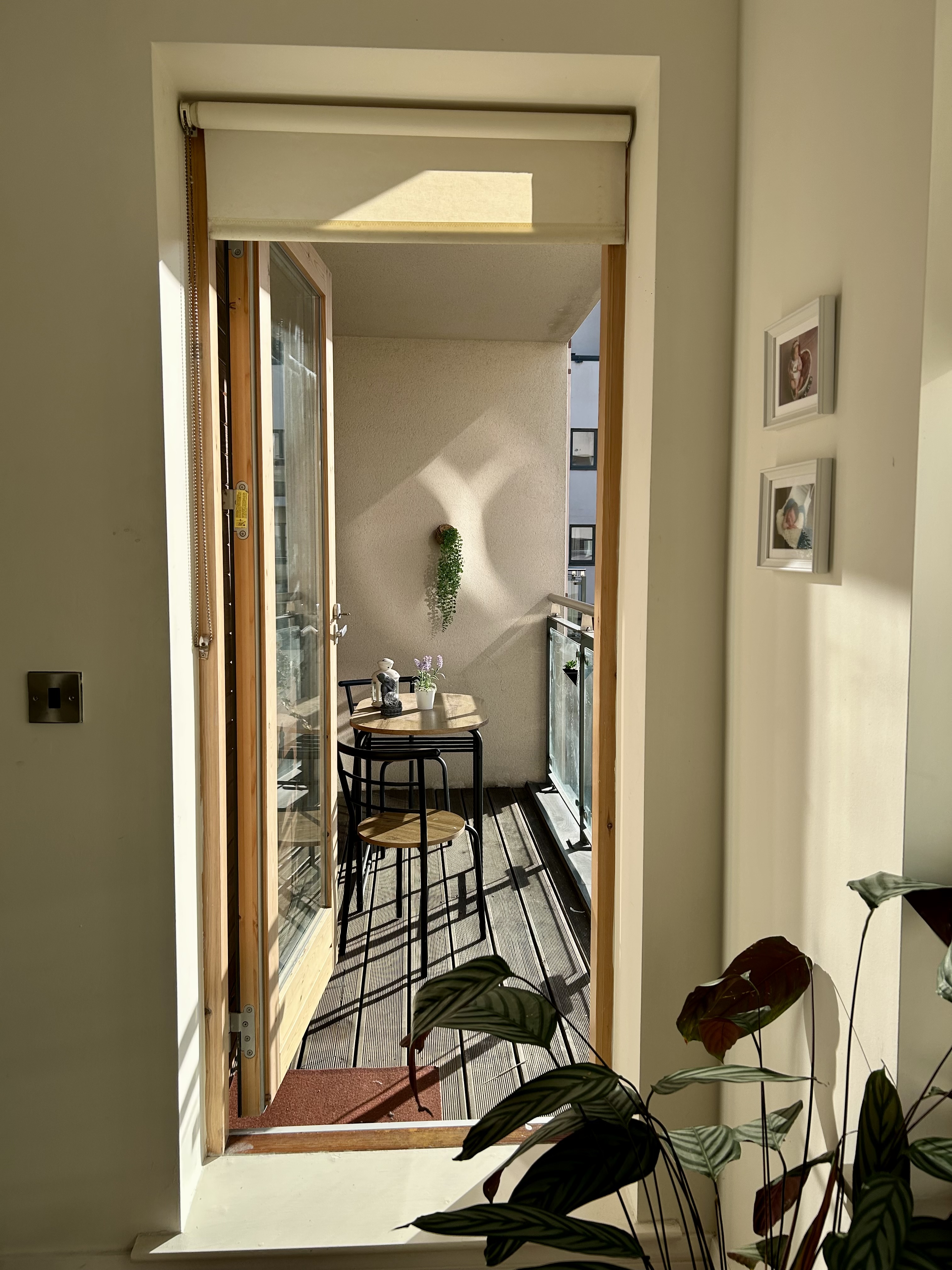 image-19