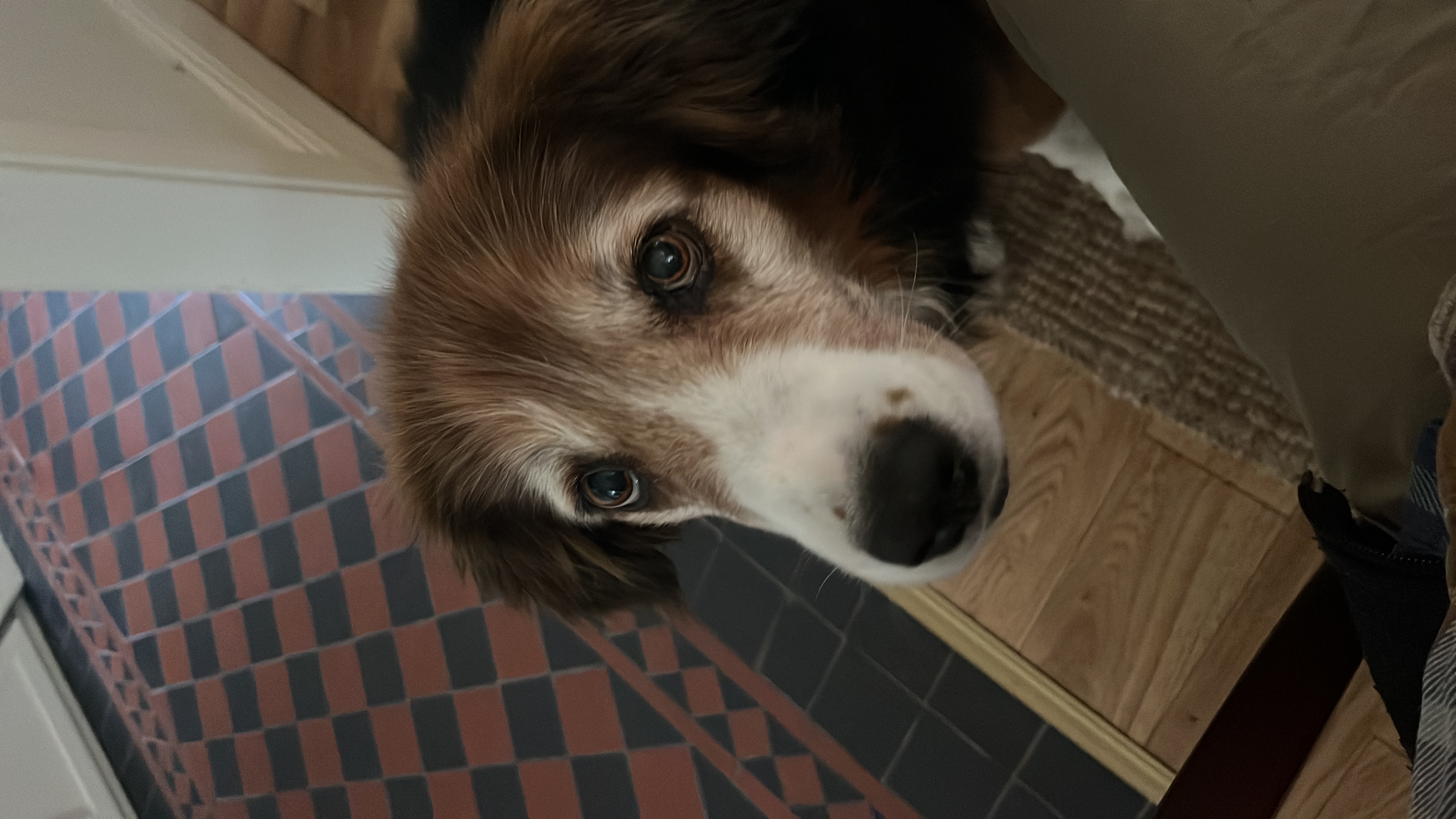 image-11
