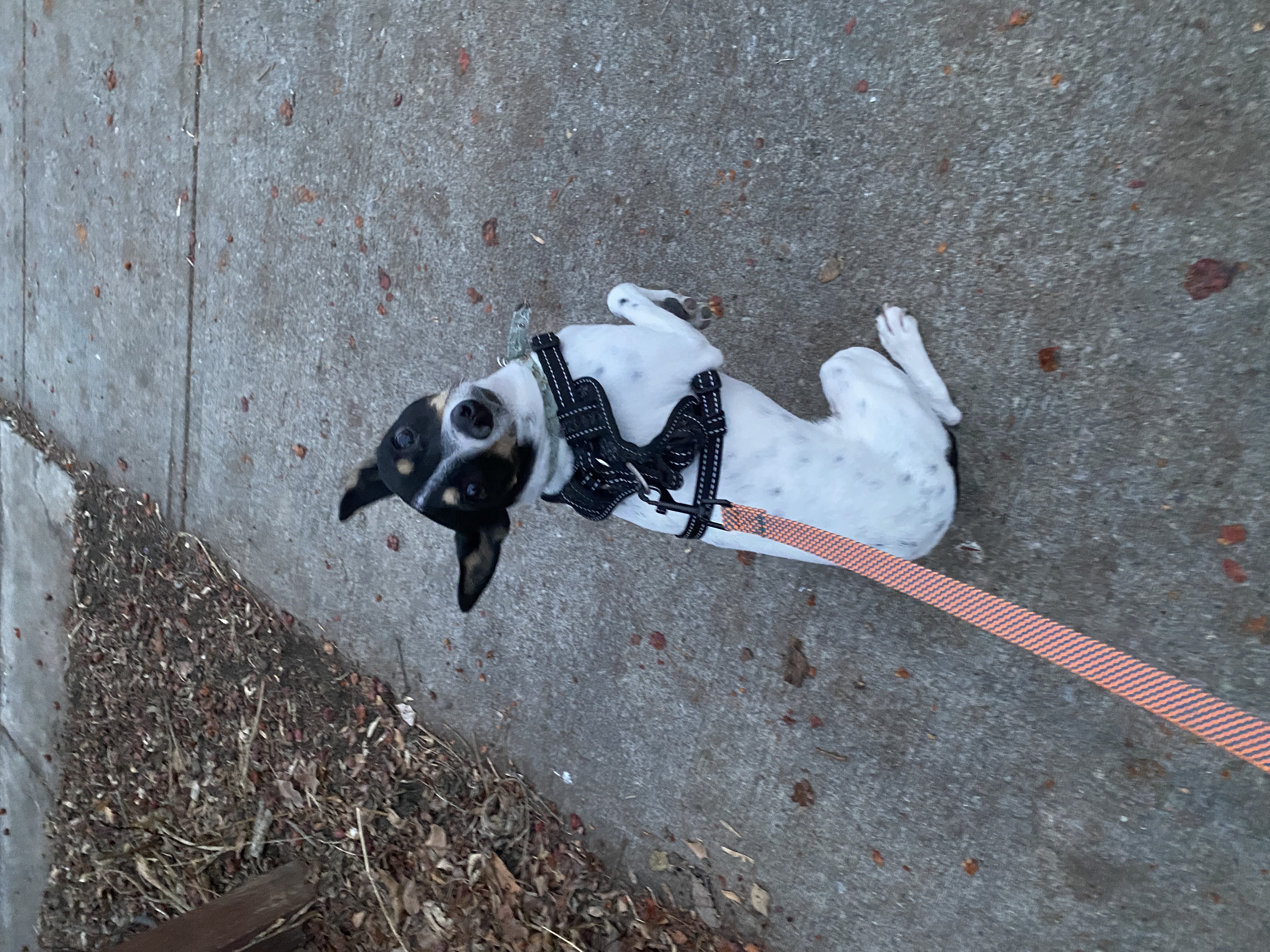 image-8