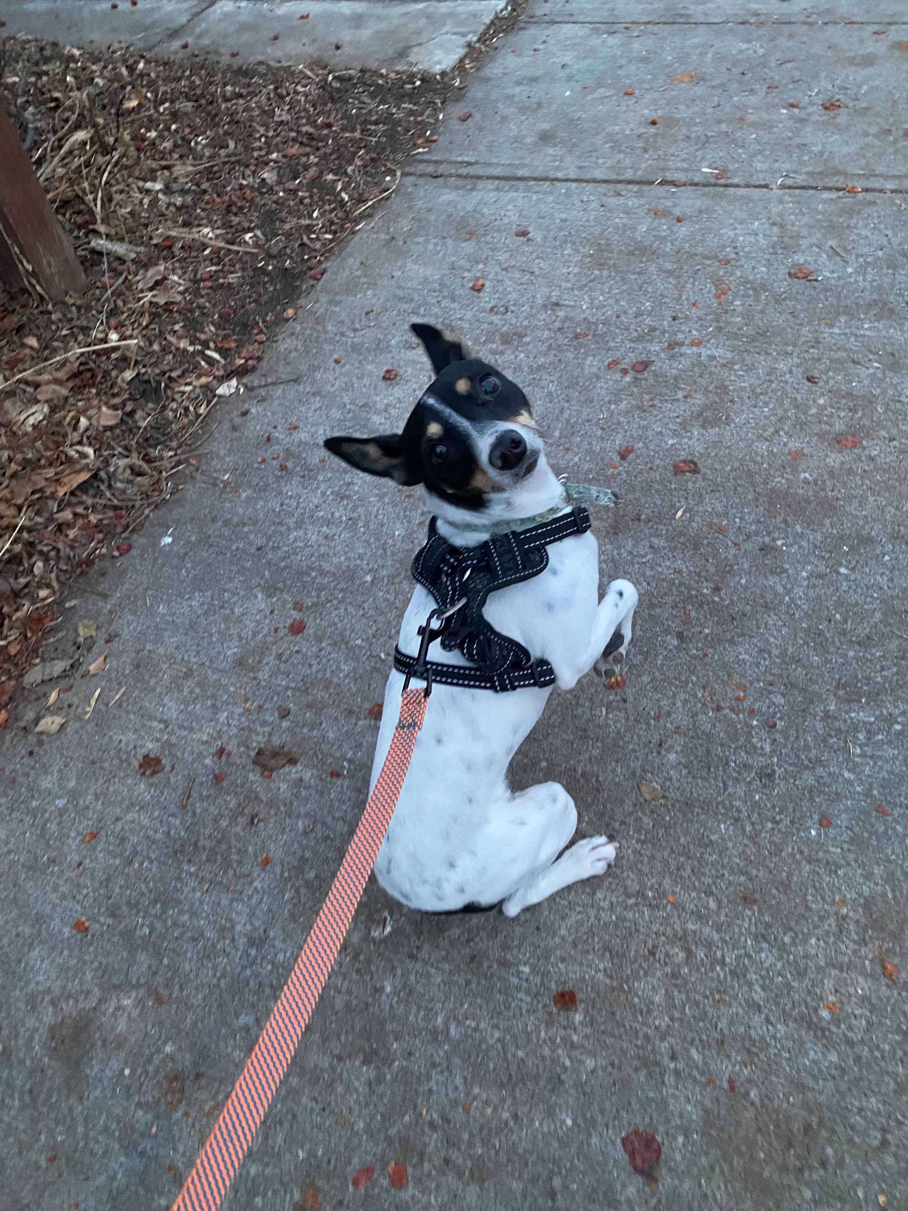 image-8