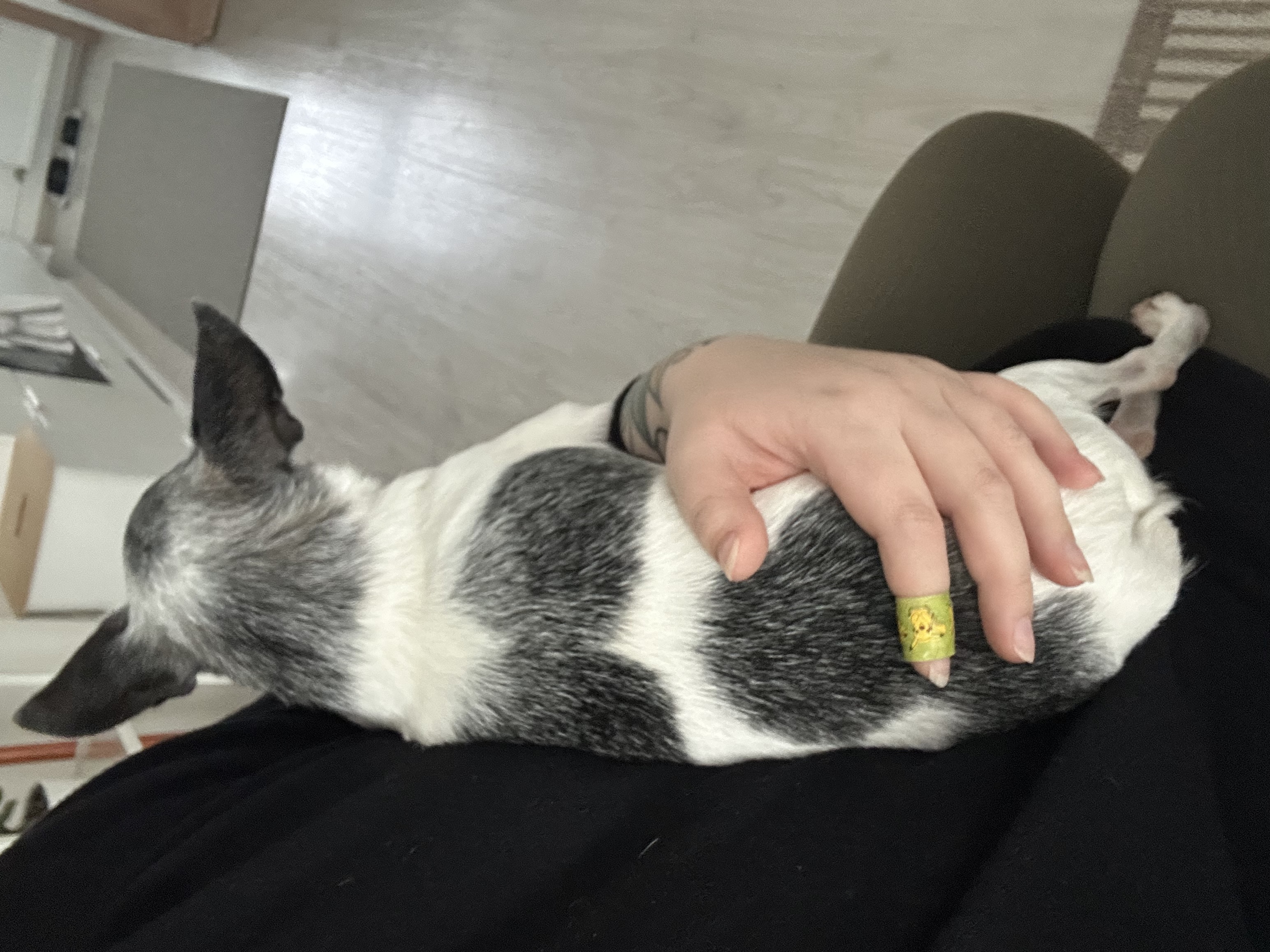 image-7