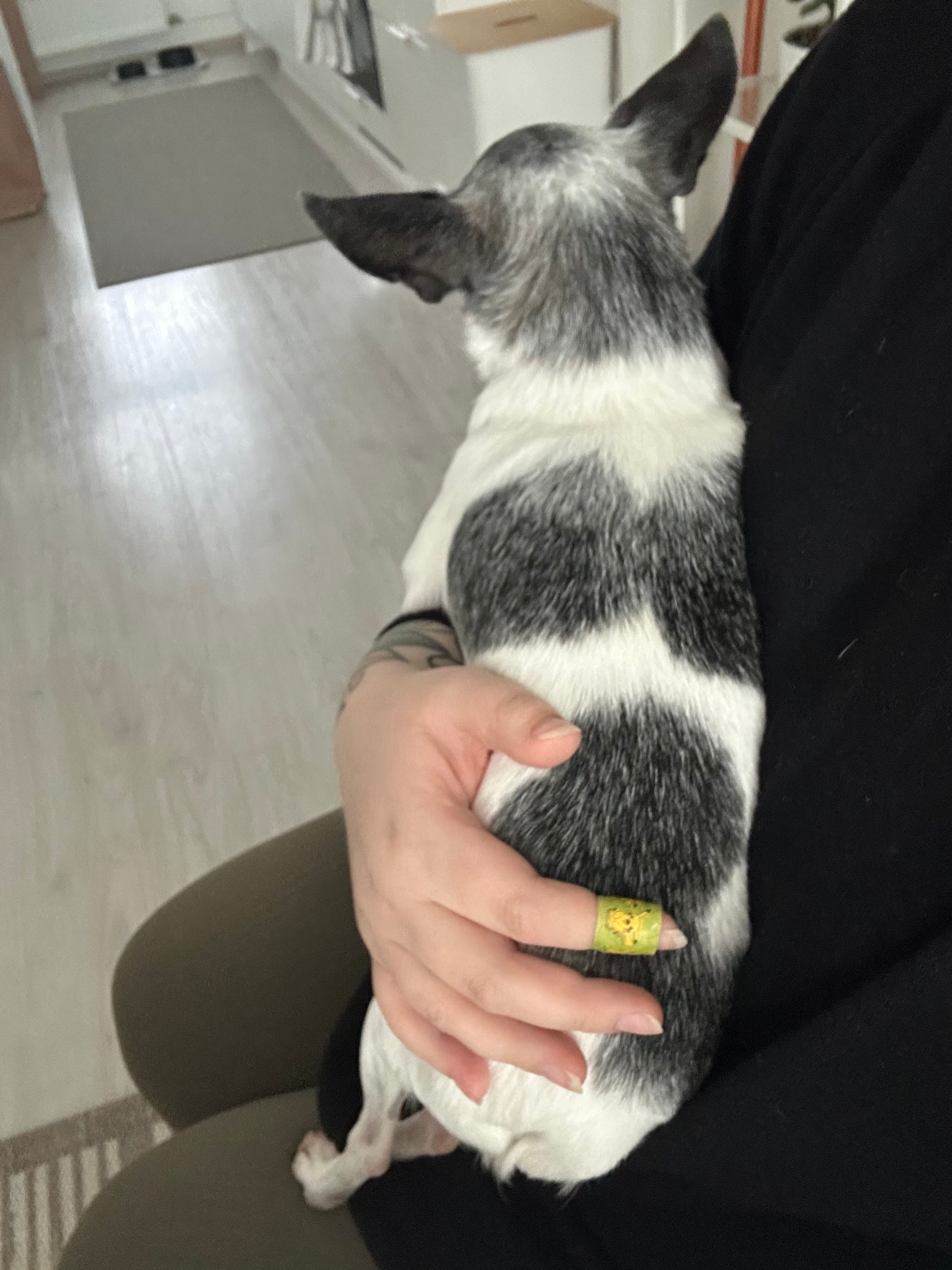 image-7