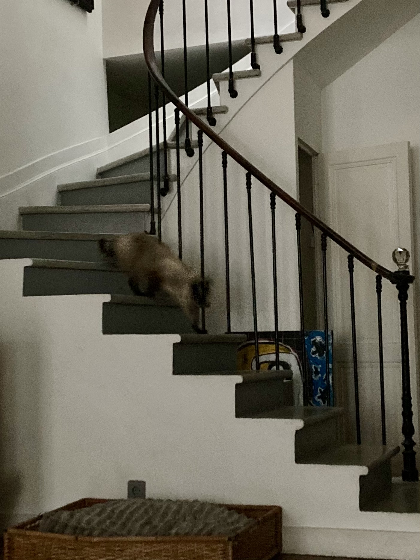image-11