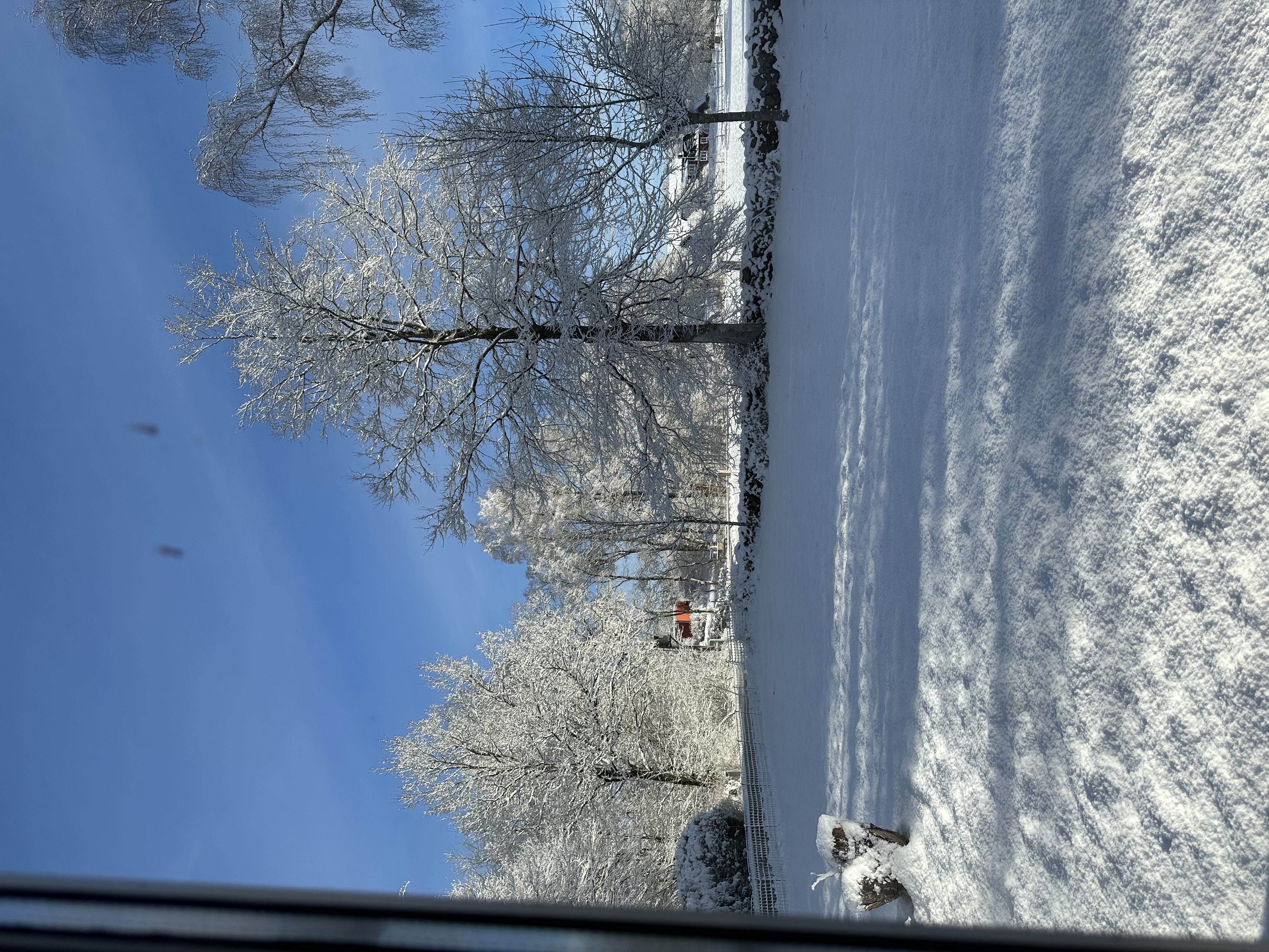 image-17
