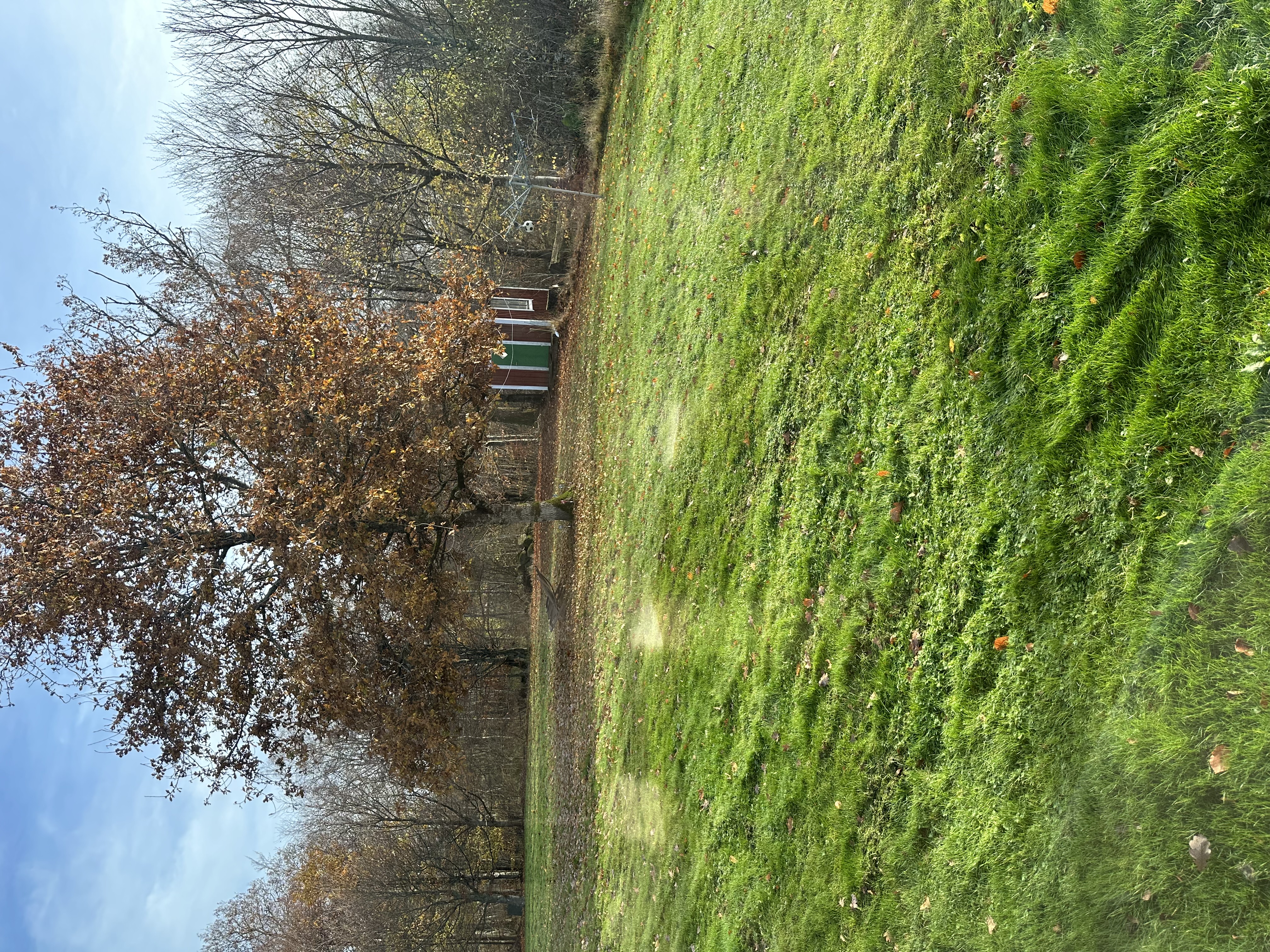 image-15