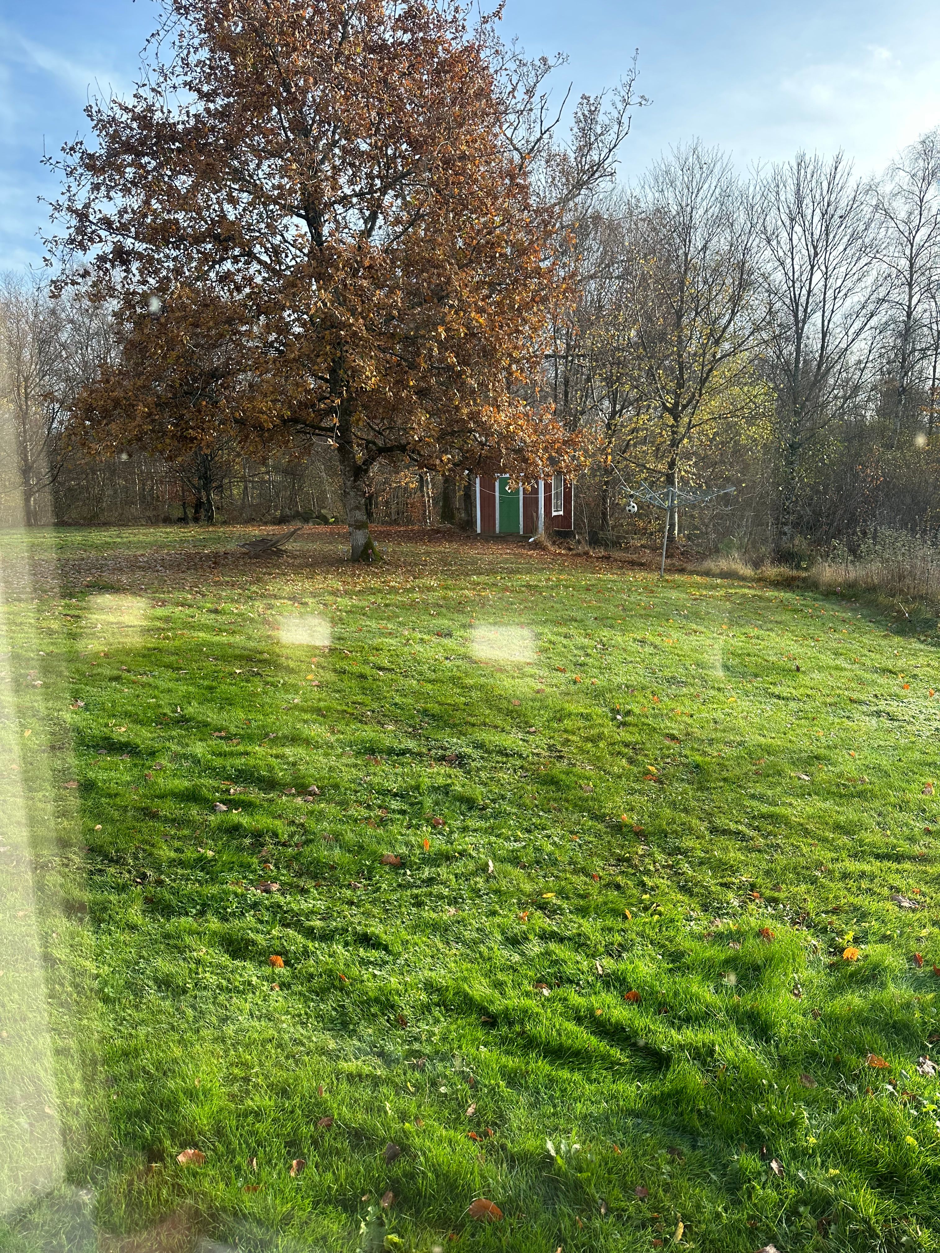 image-13