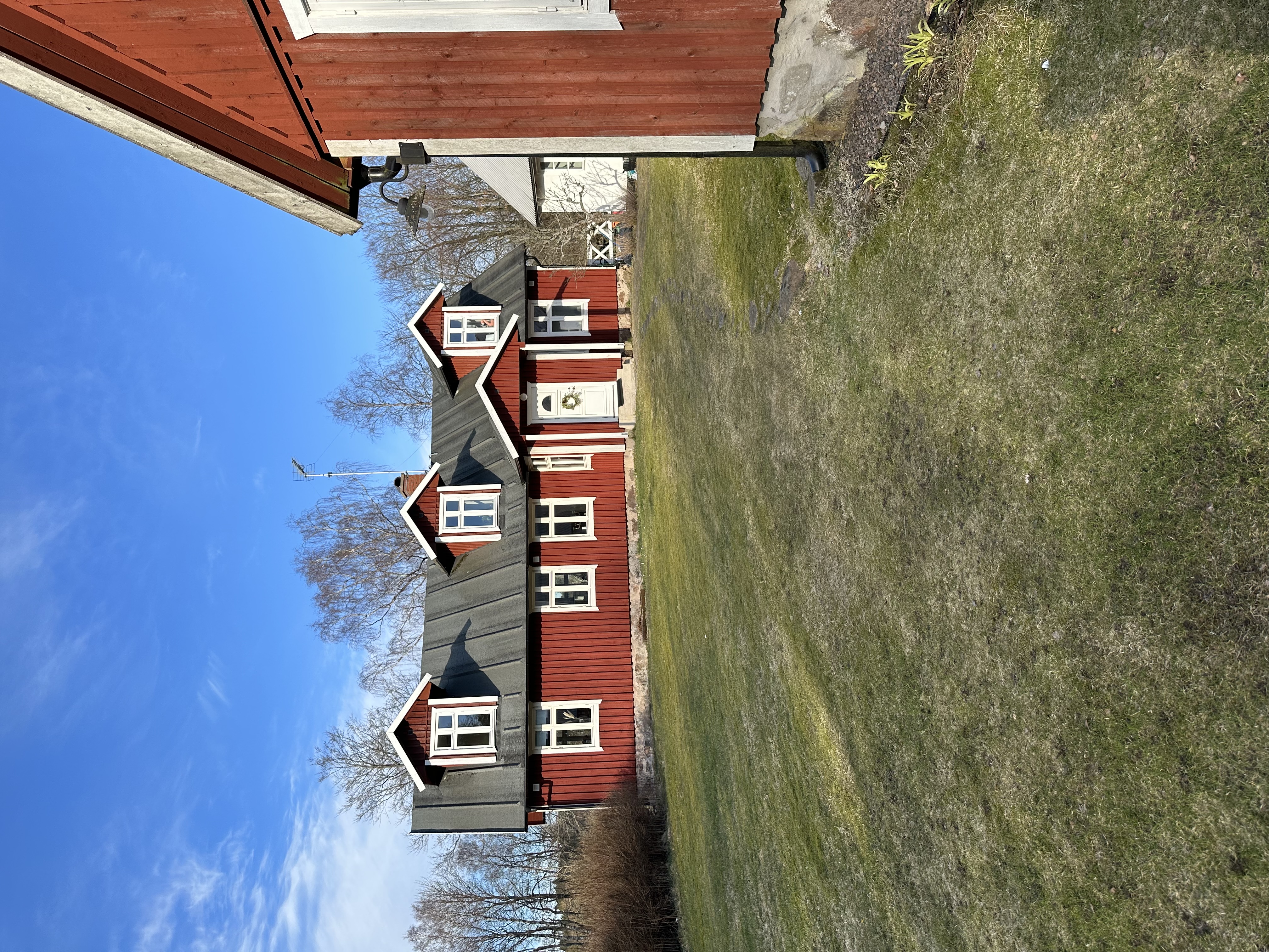 image-19