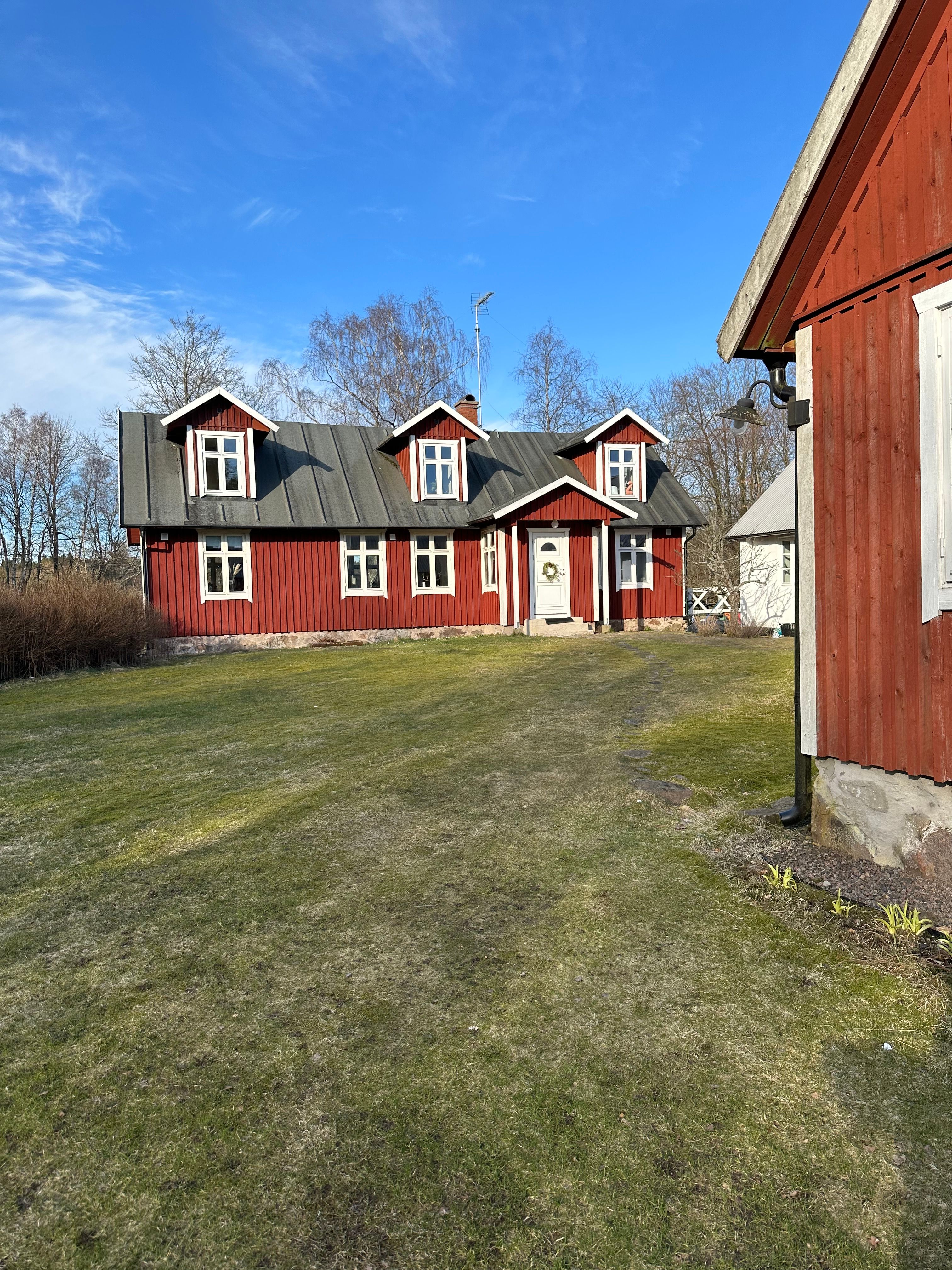 image-19