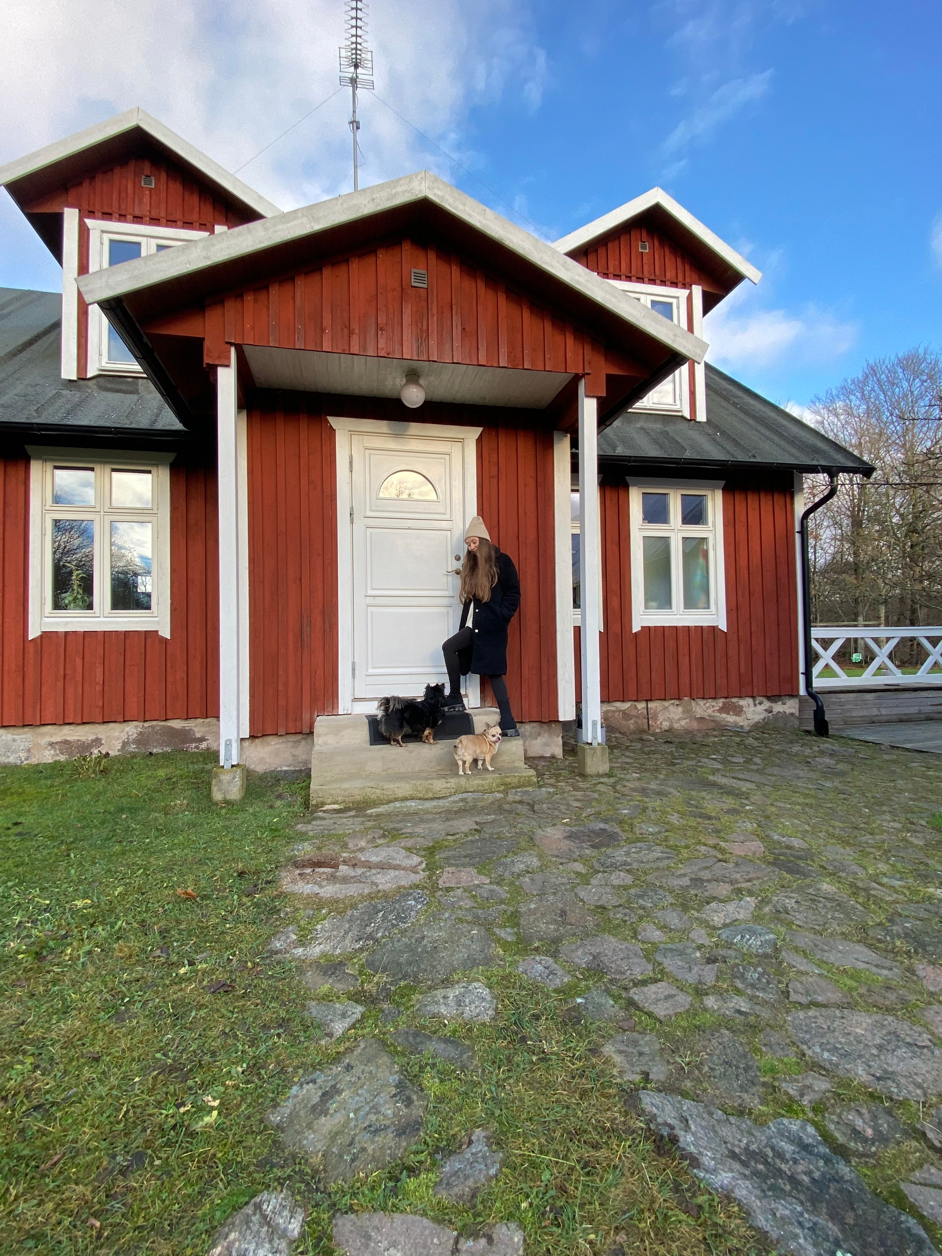 image-10