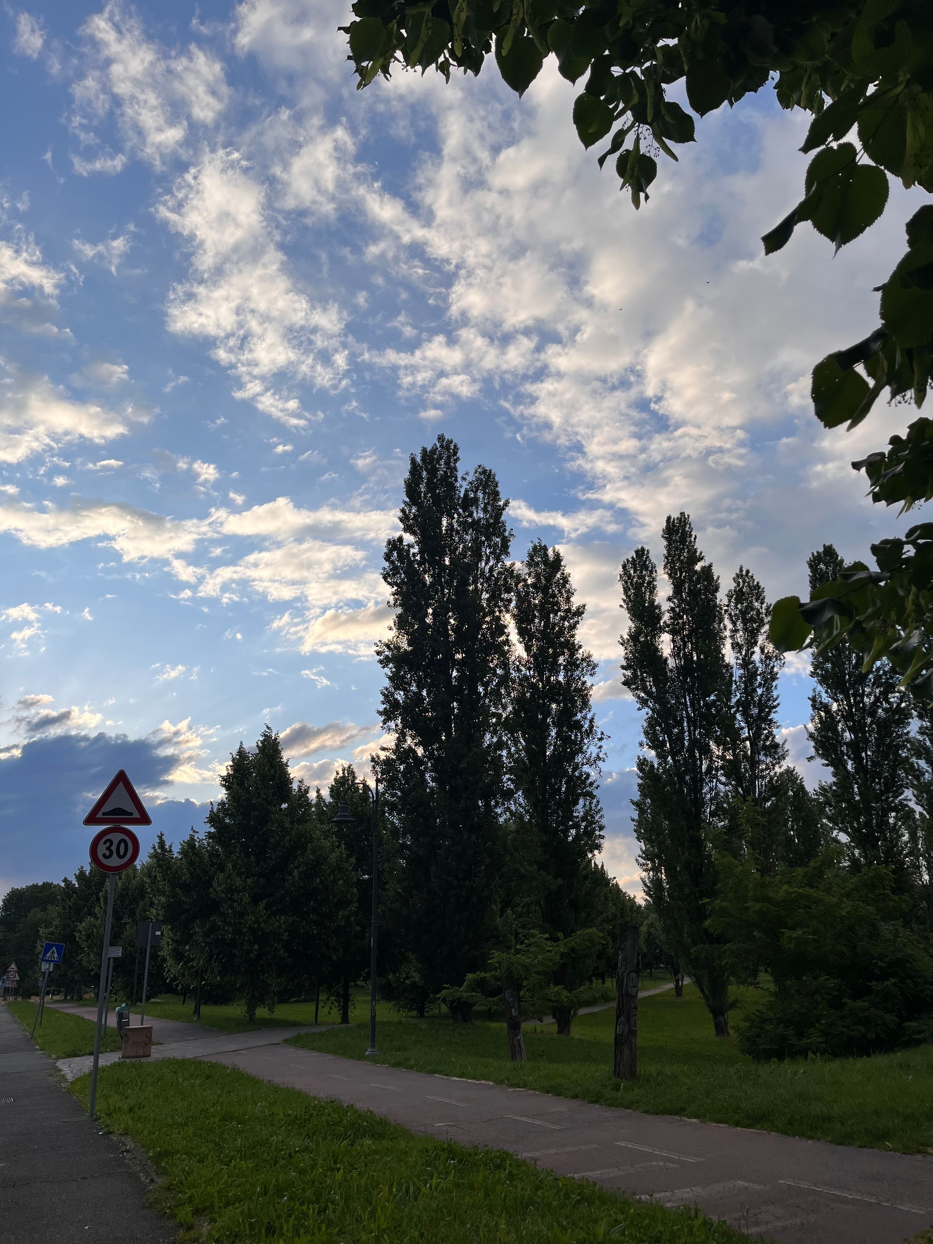 image-19