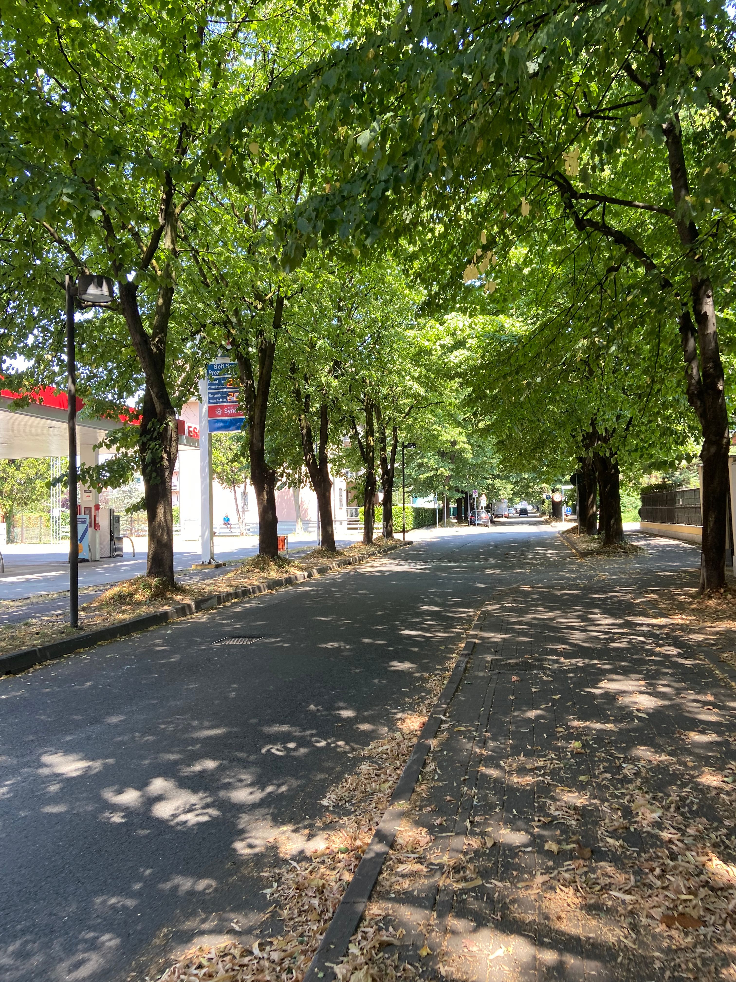 image-25