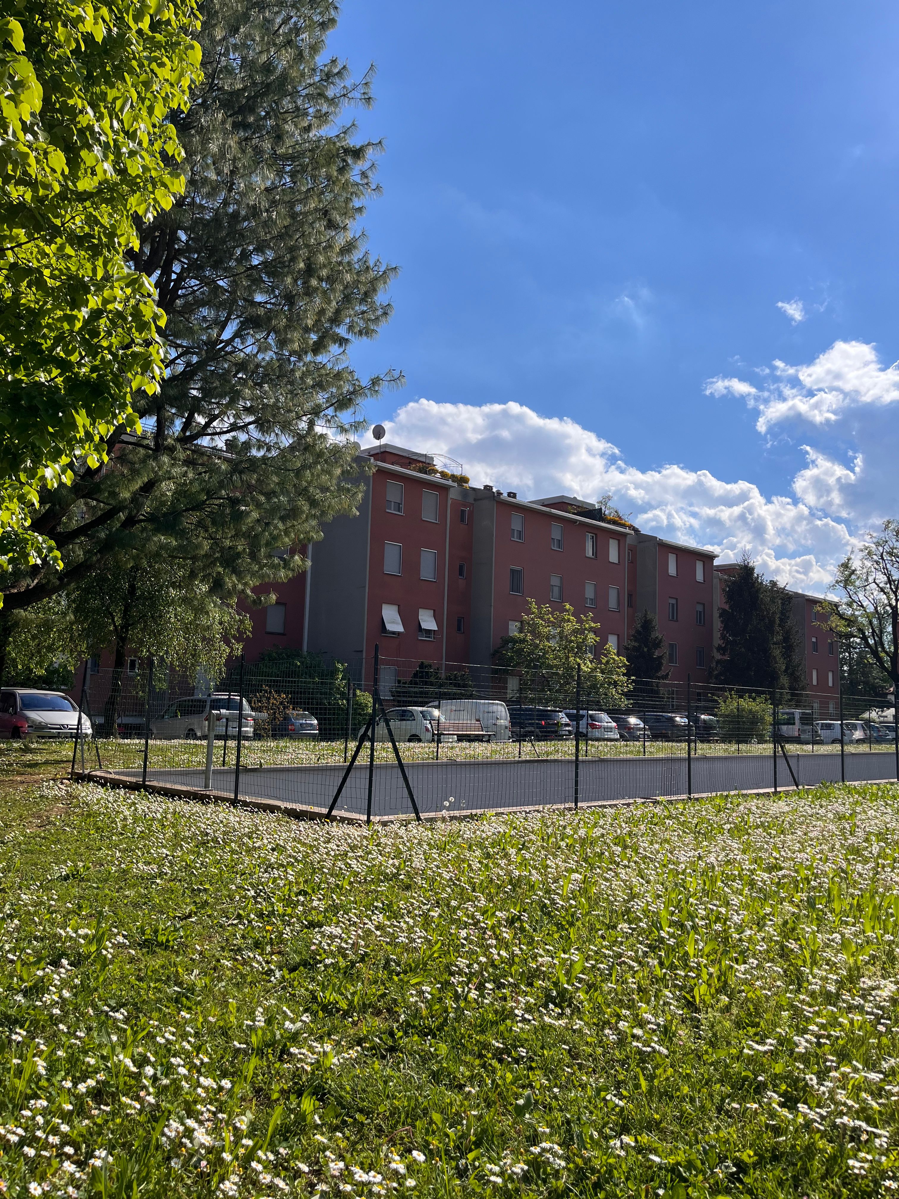 image-18