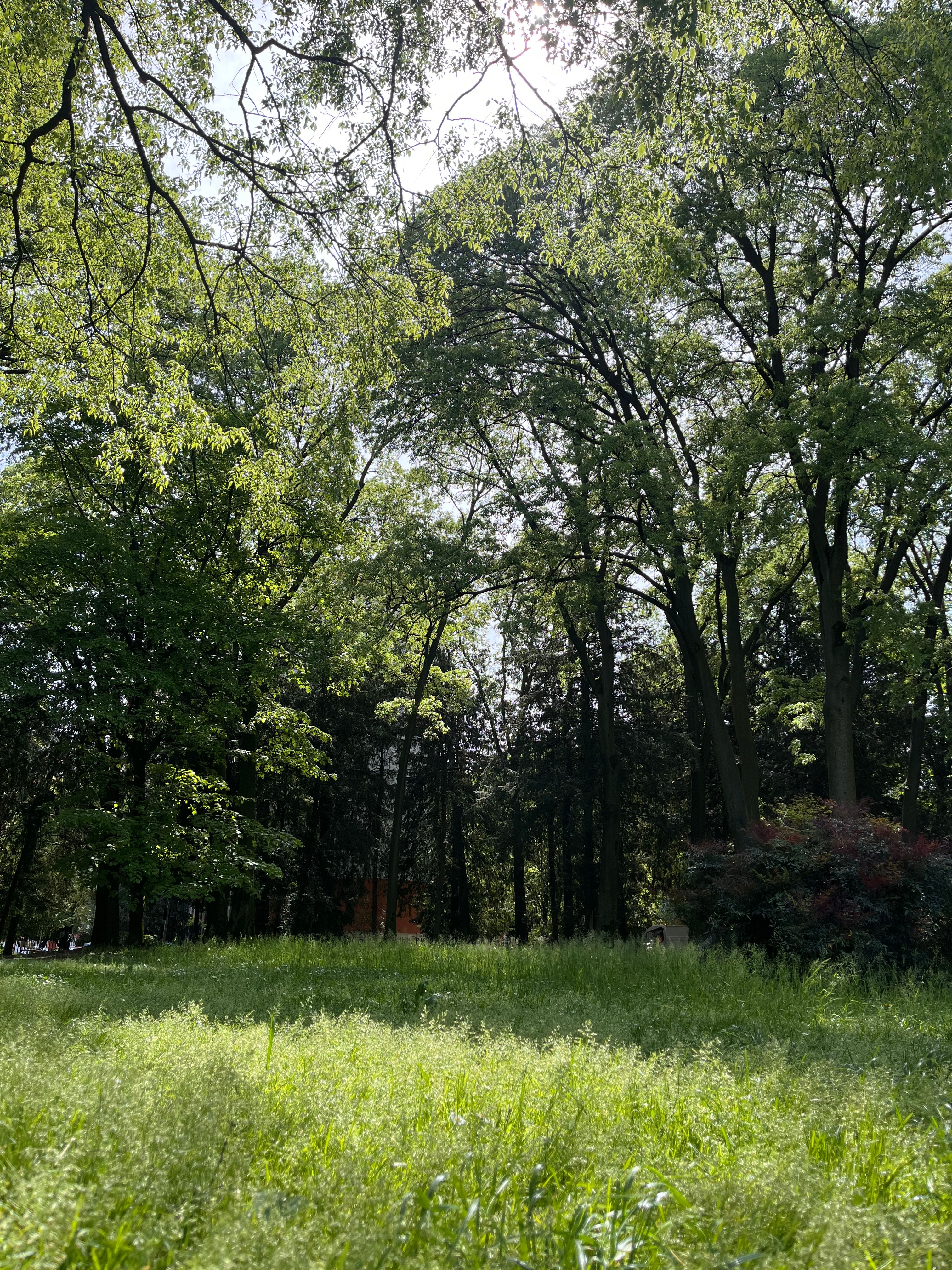 image-20