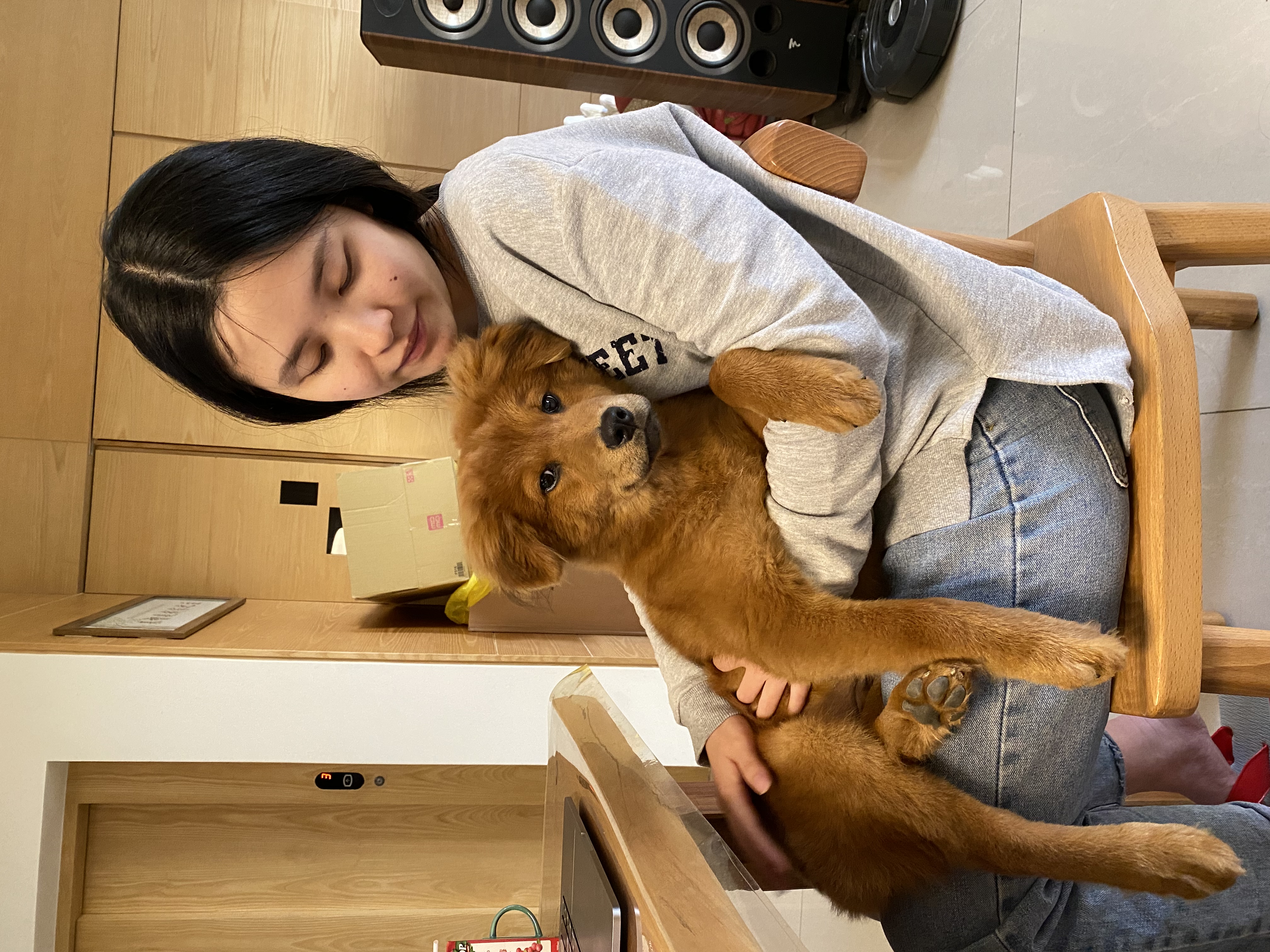 image-6