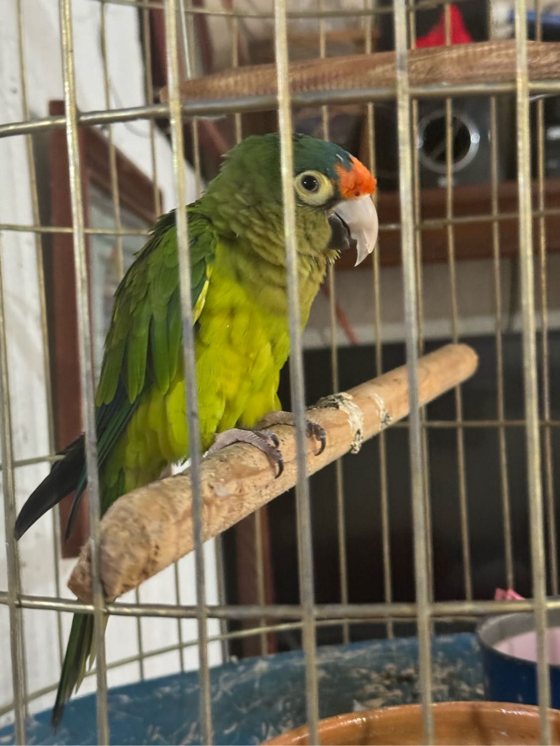 image-7