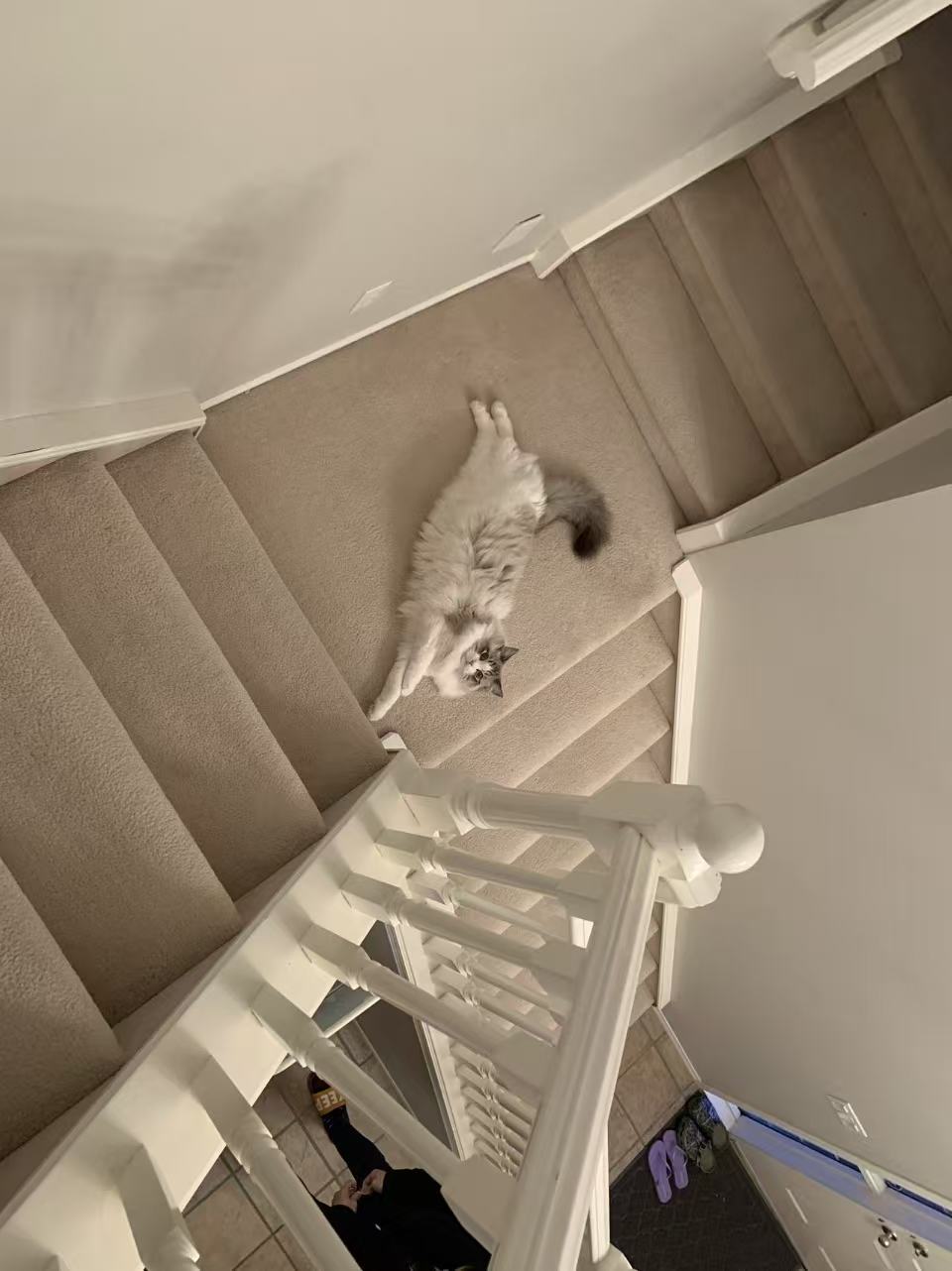 image-6