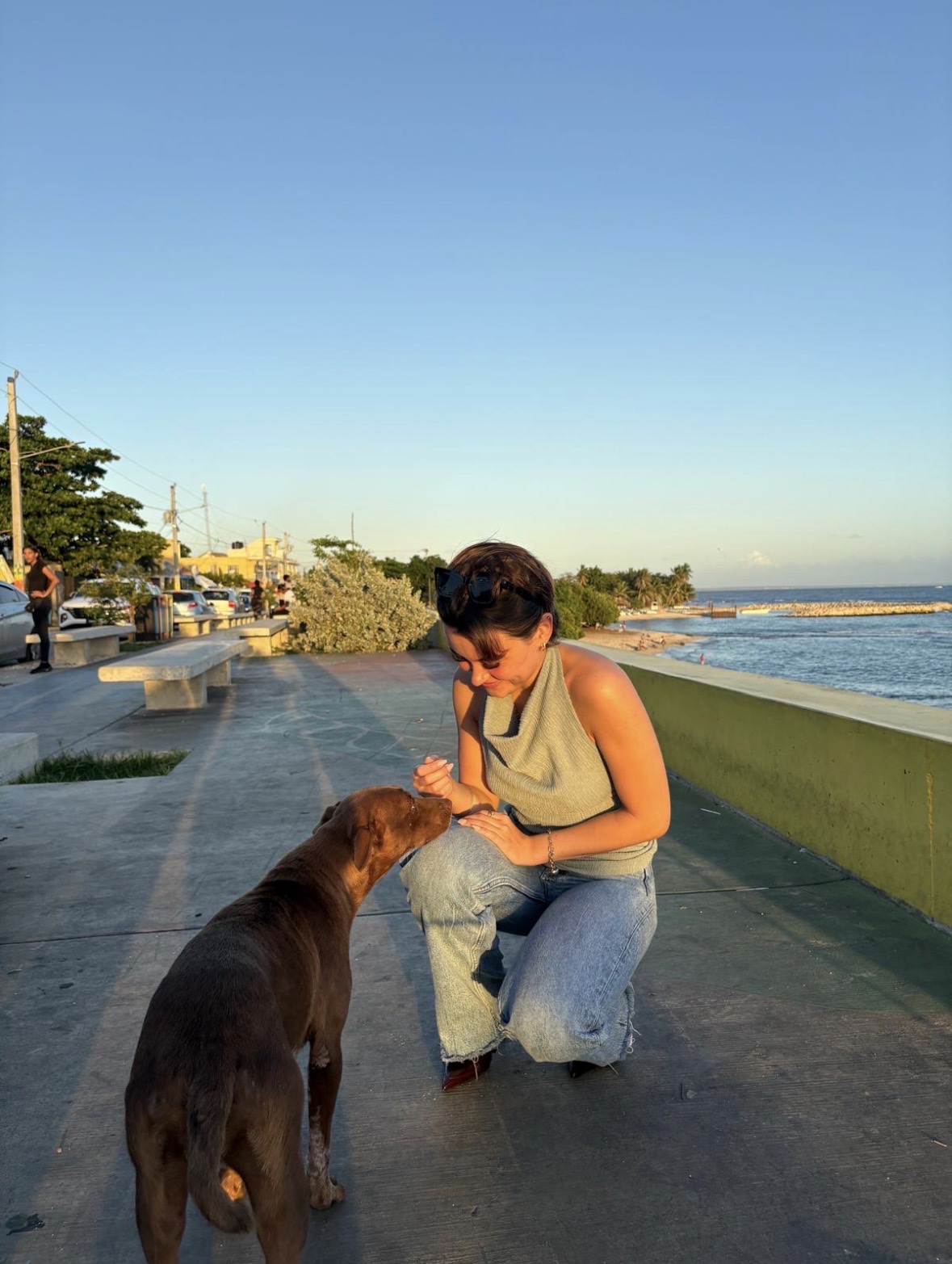 image-4