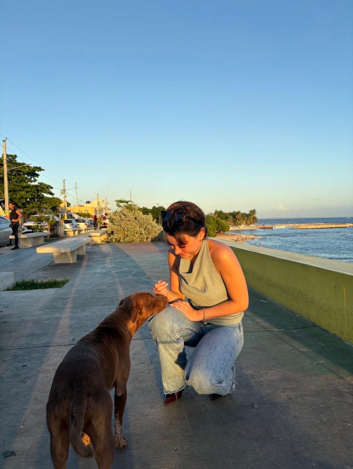 image-4