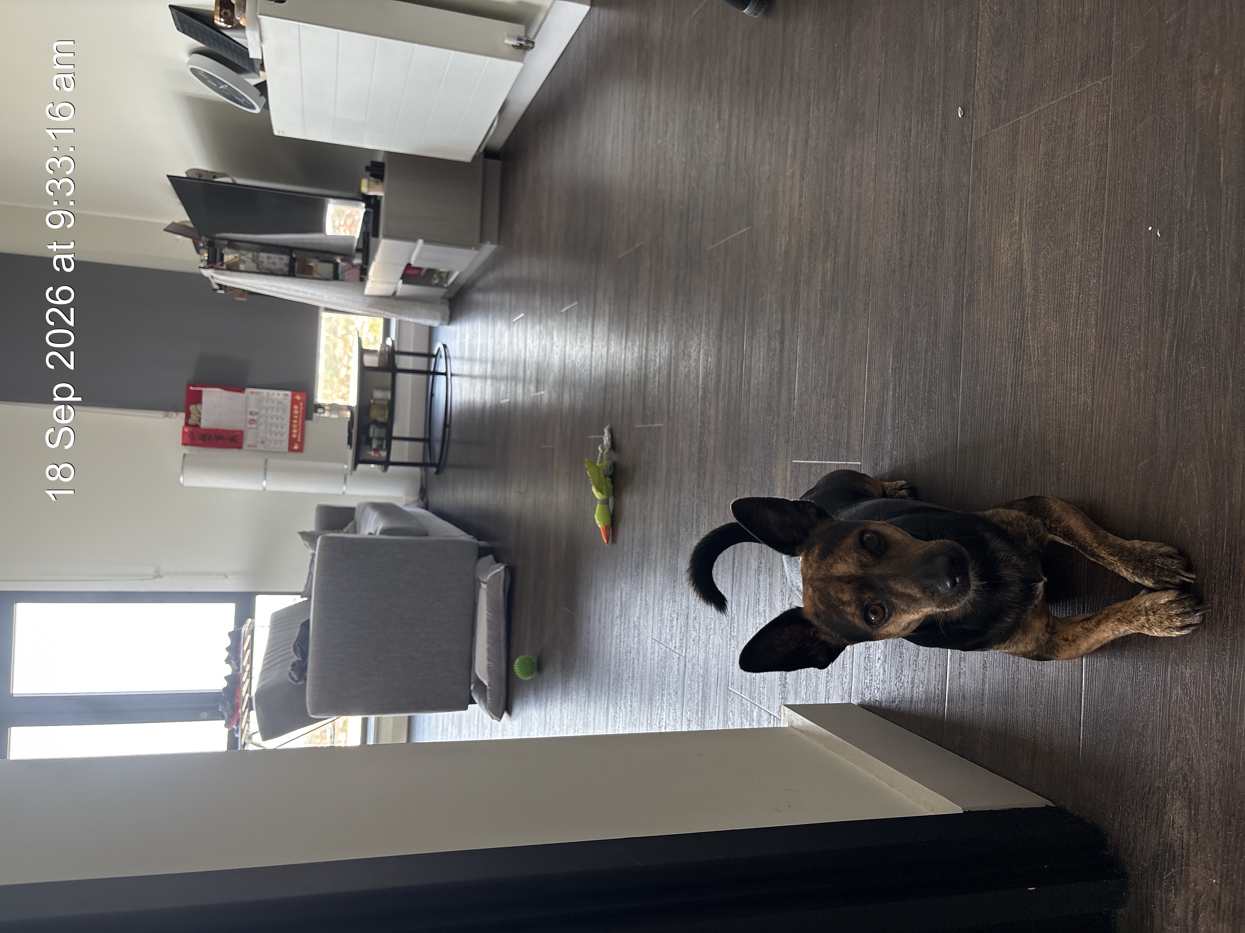 image-21