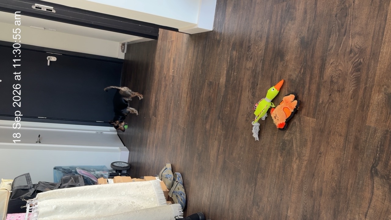 image-18