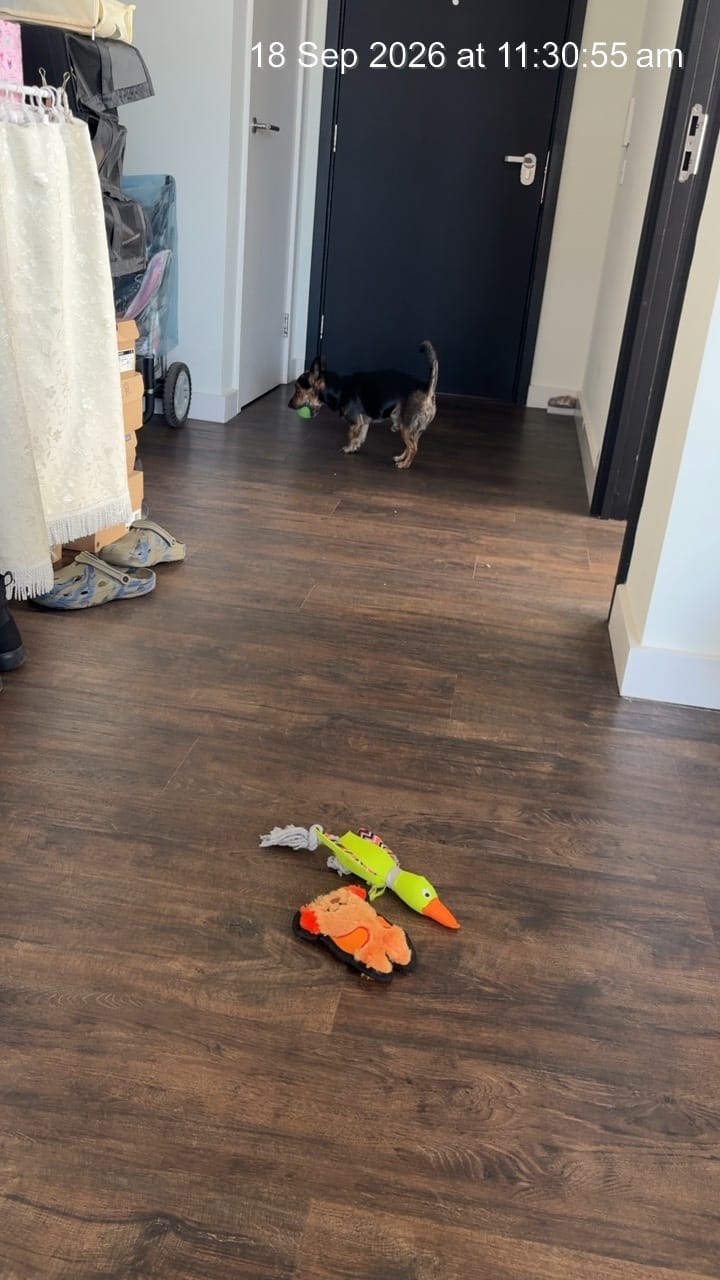 image-18