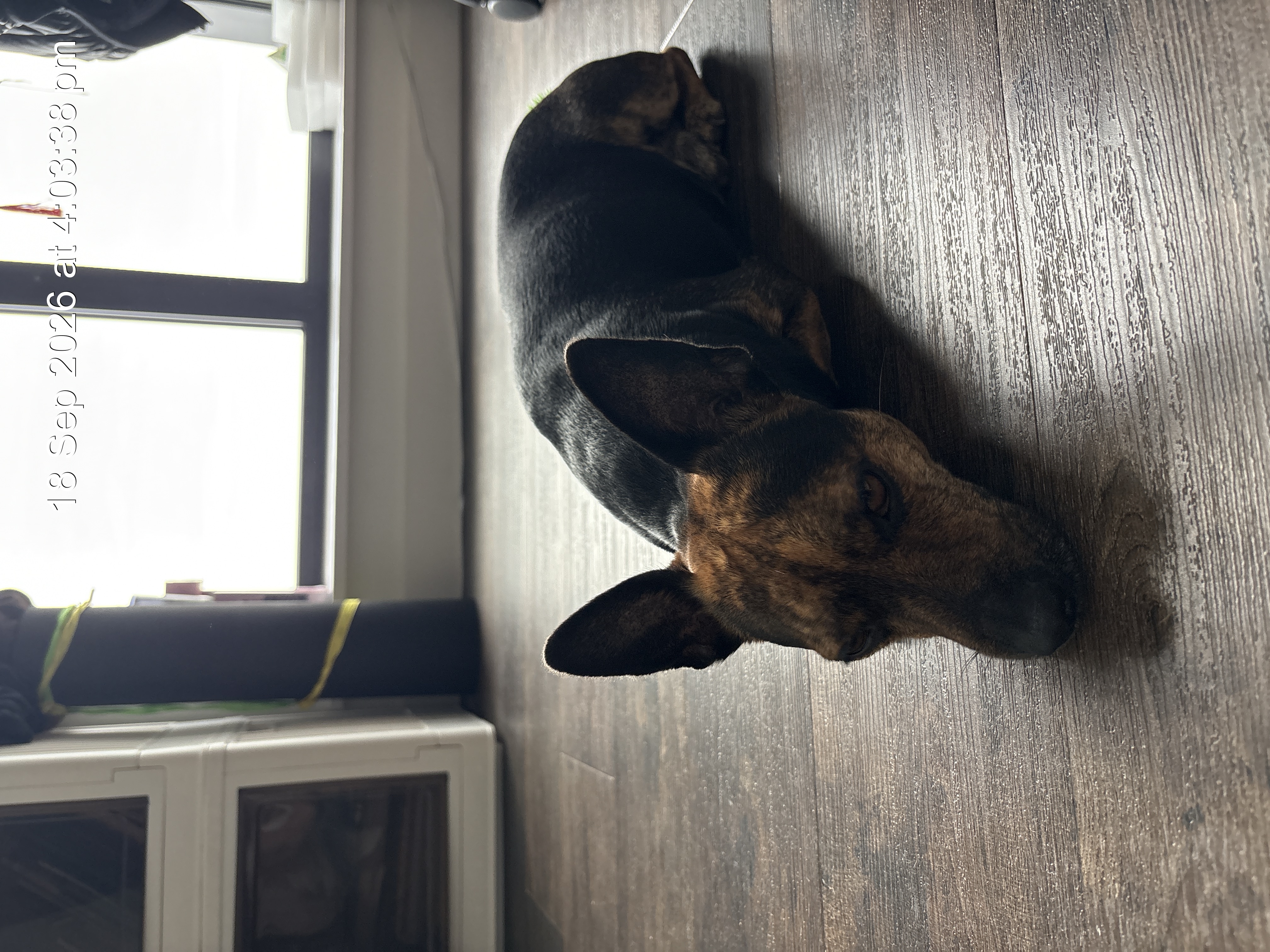 image-10