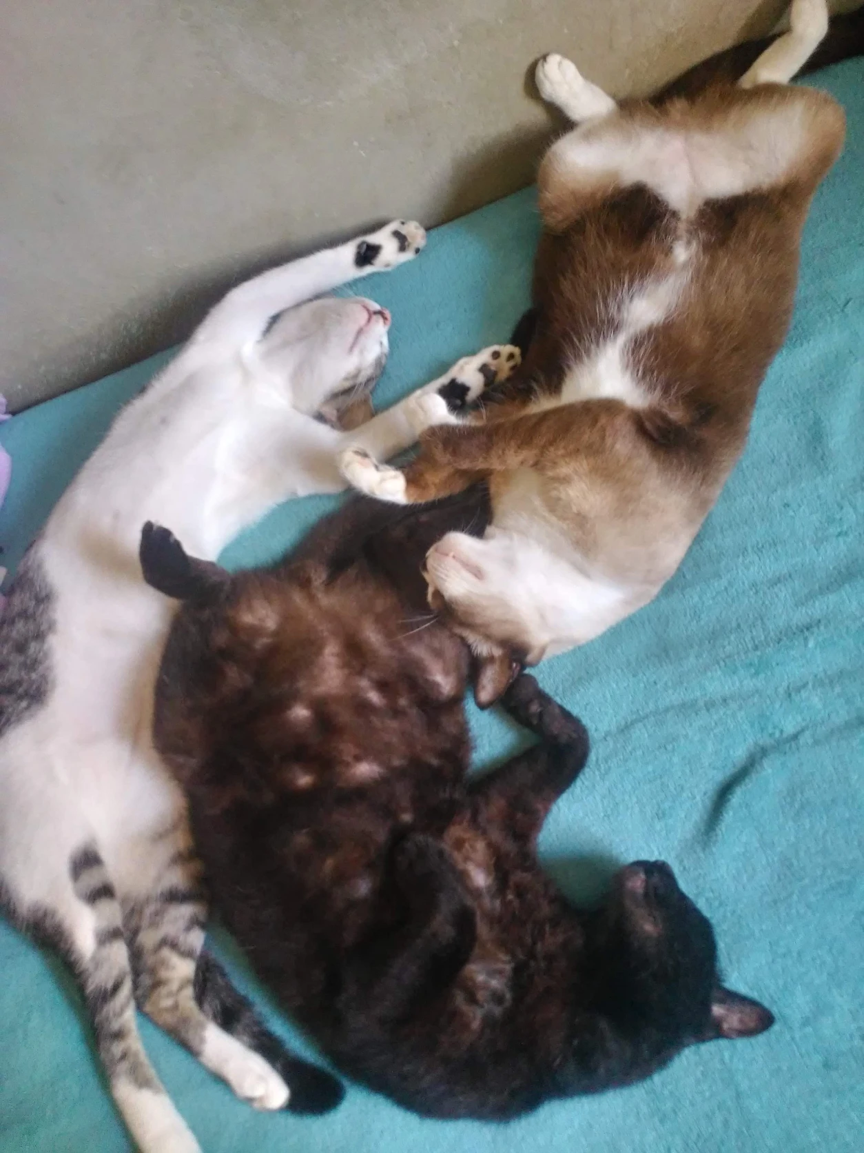 image-6