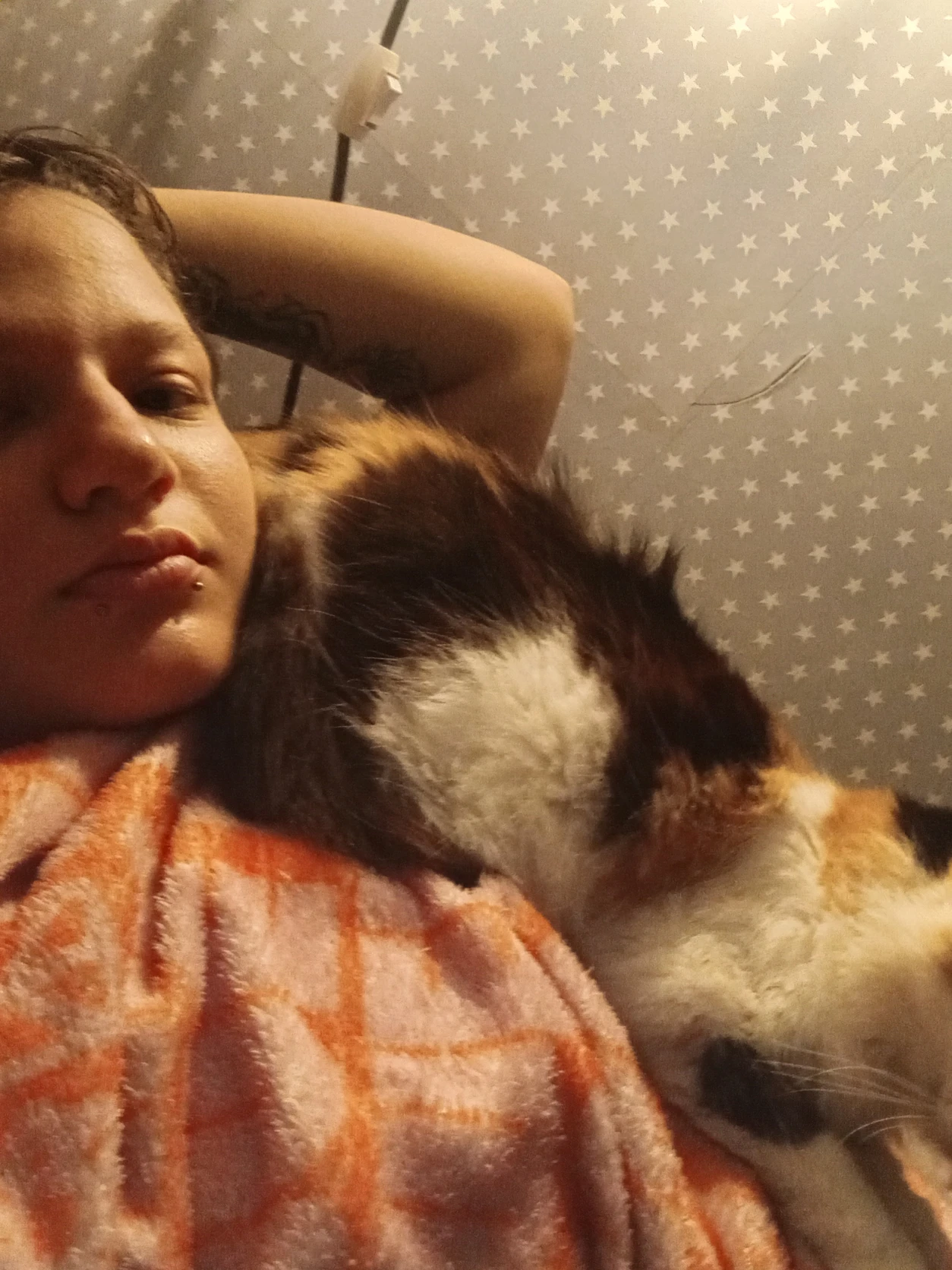 image-7
